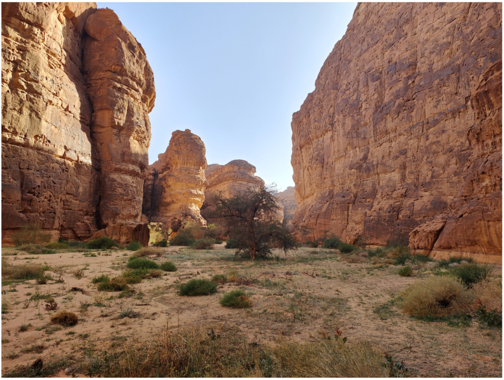 Plants 14 00170 g052