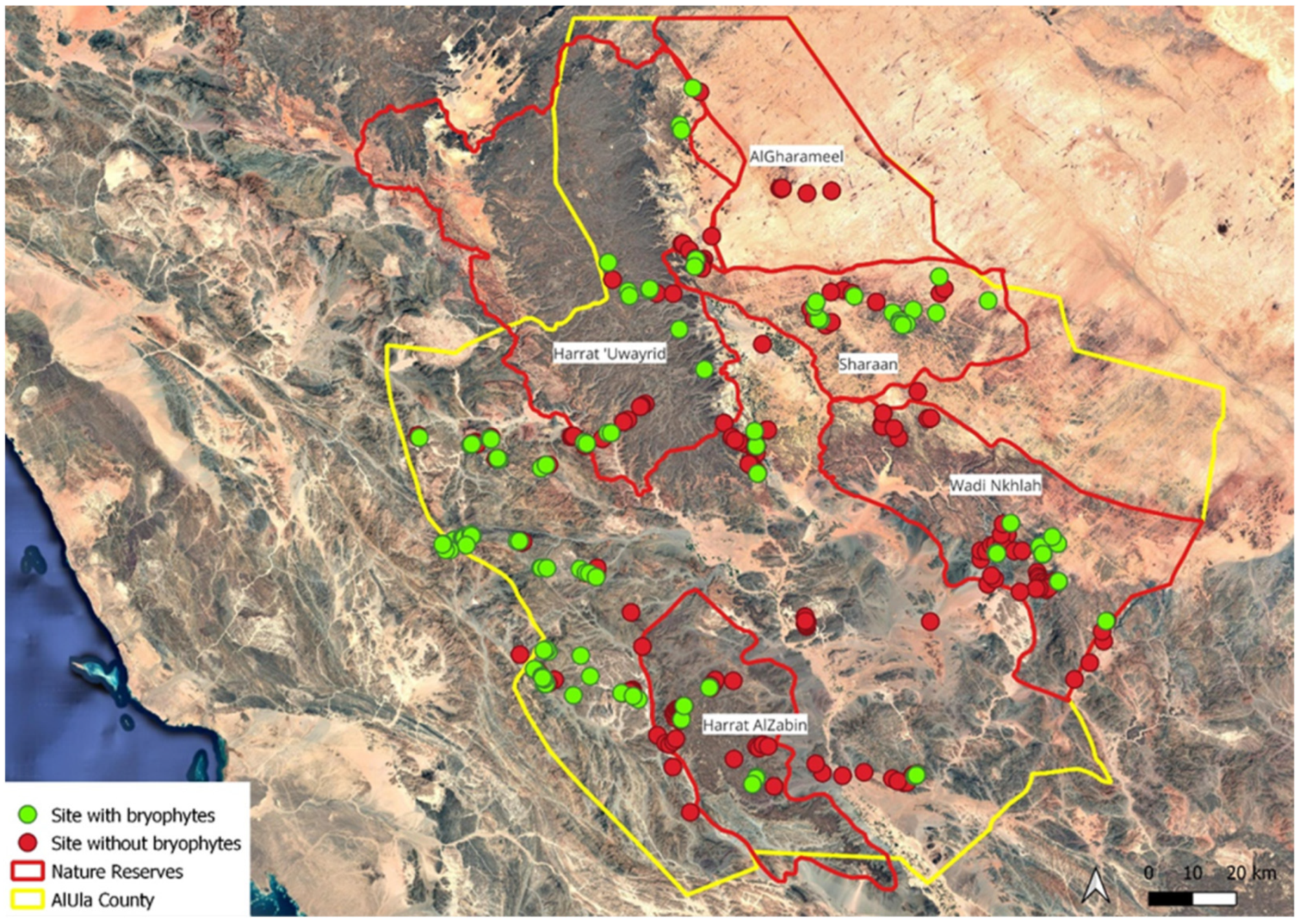 Plants 14 00170 g055