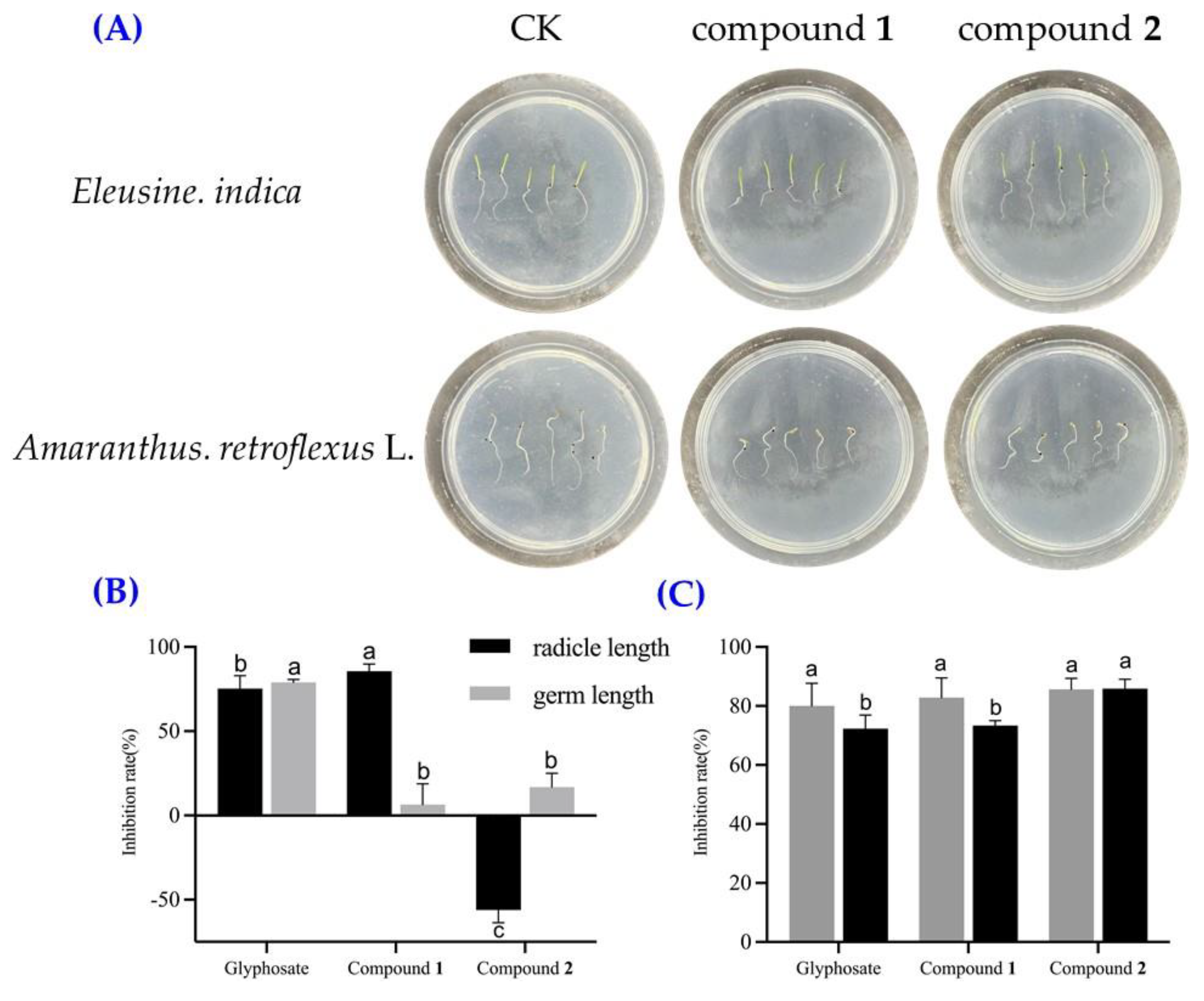 Plants 14 00173 g008