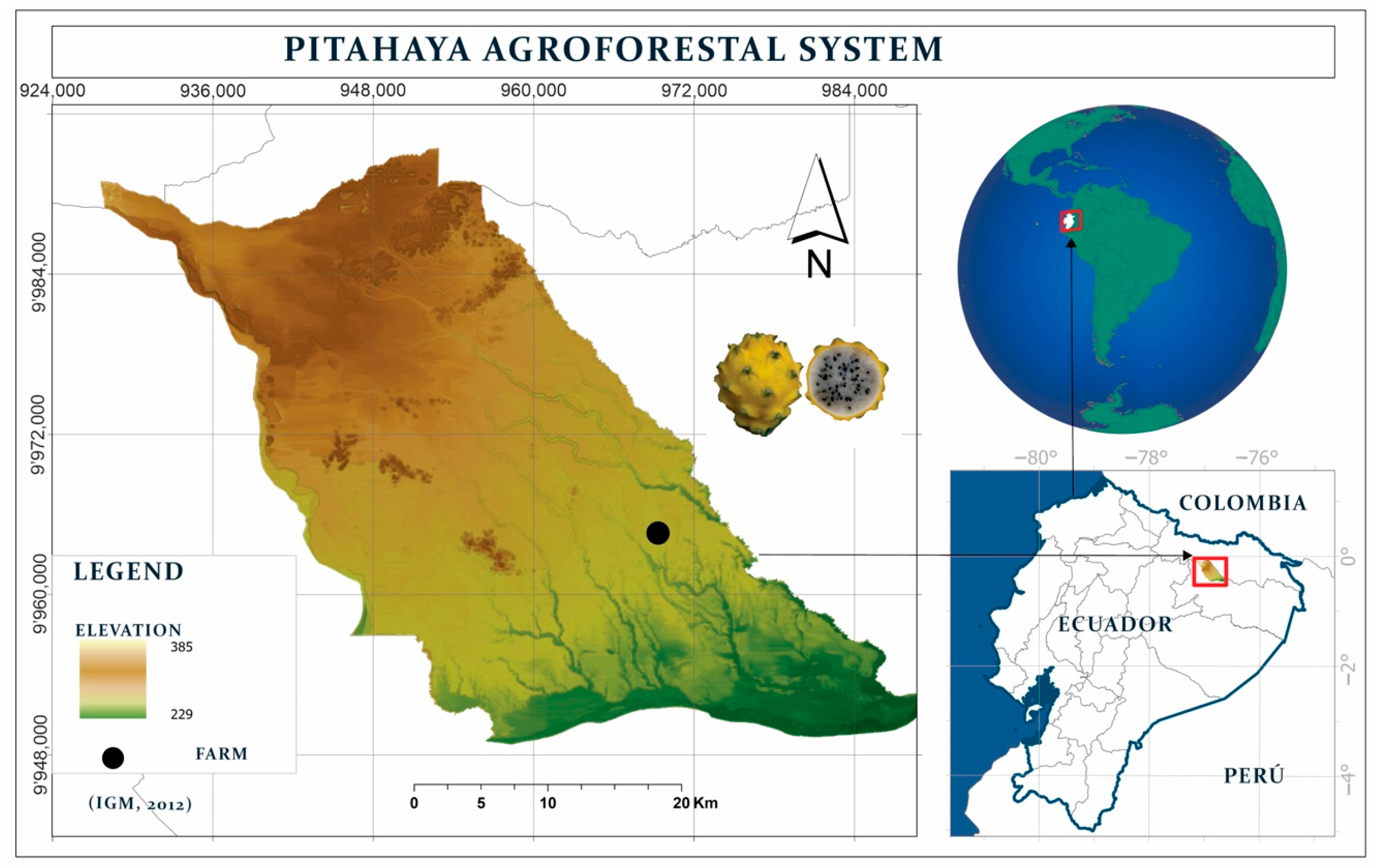 Plants 14 00178 g002