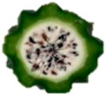 Plants 14 00178 i008