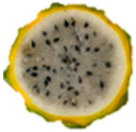 Plants 14 00178 i010