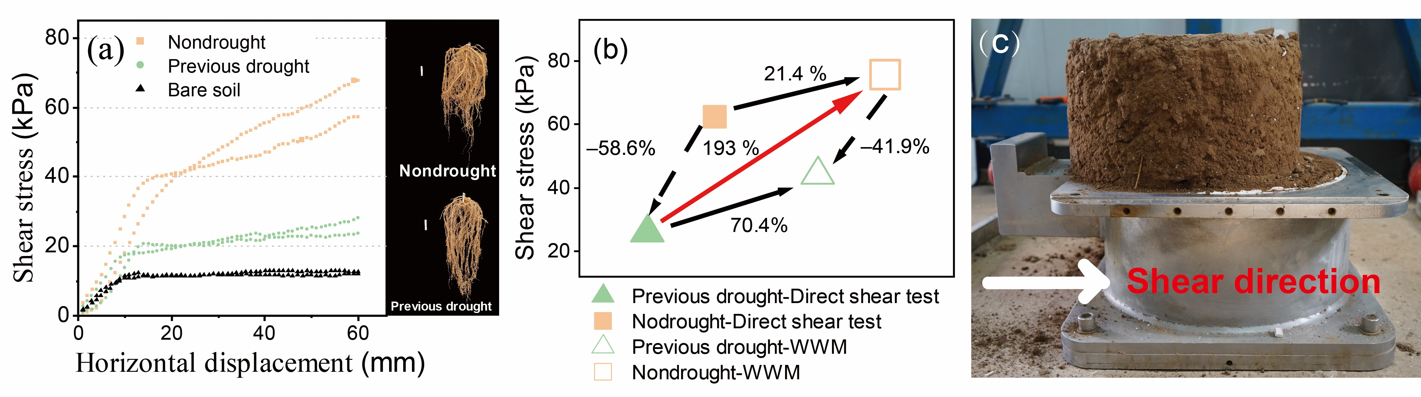 Plants 14 00179 g002