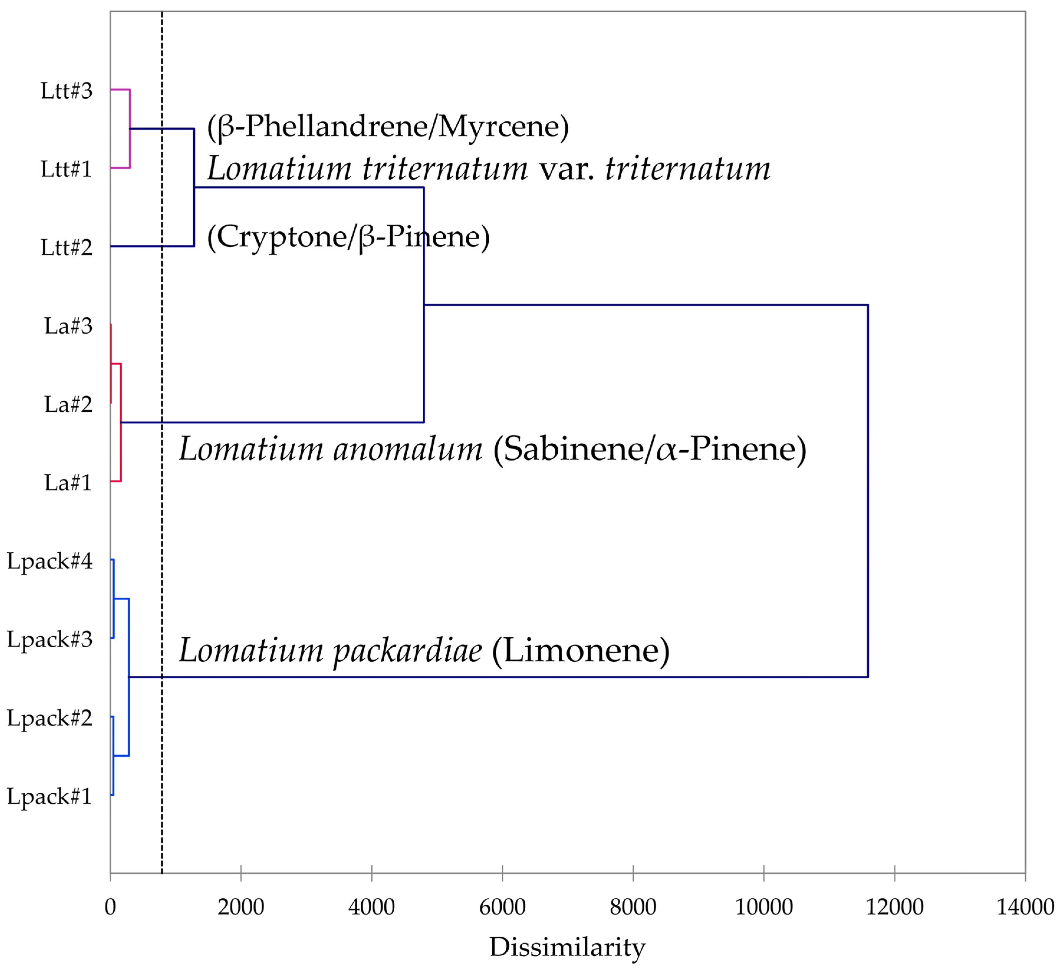 Plants 14 00186 g008