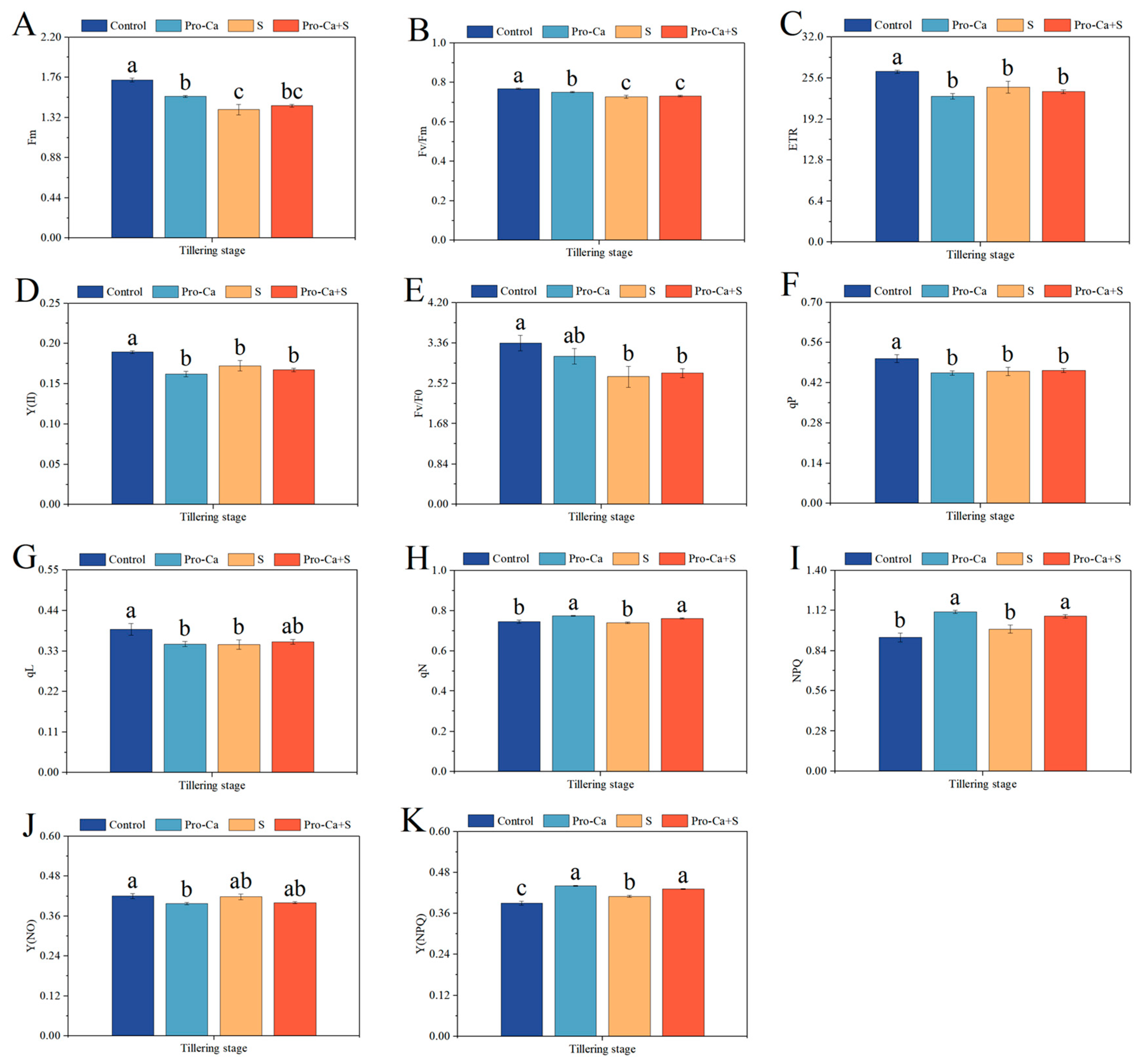 Plants 14 00188 g005