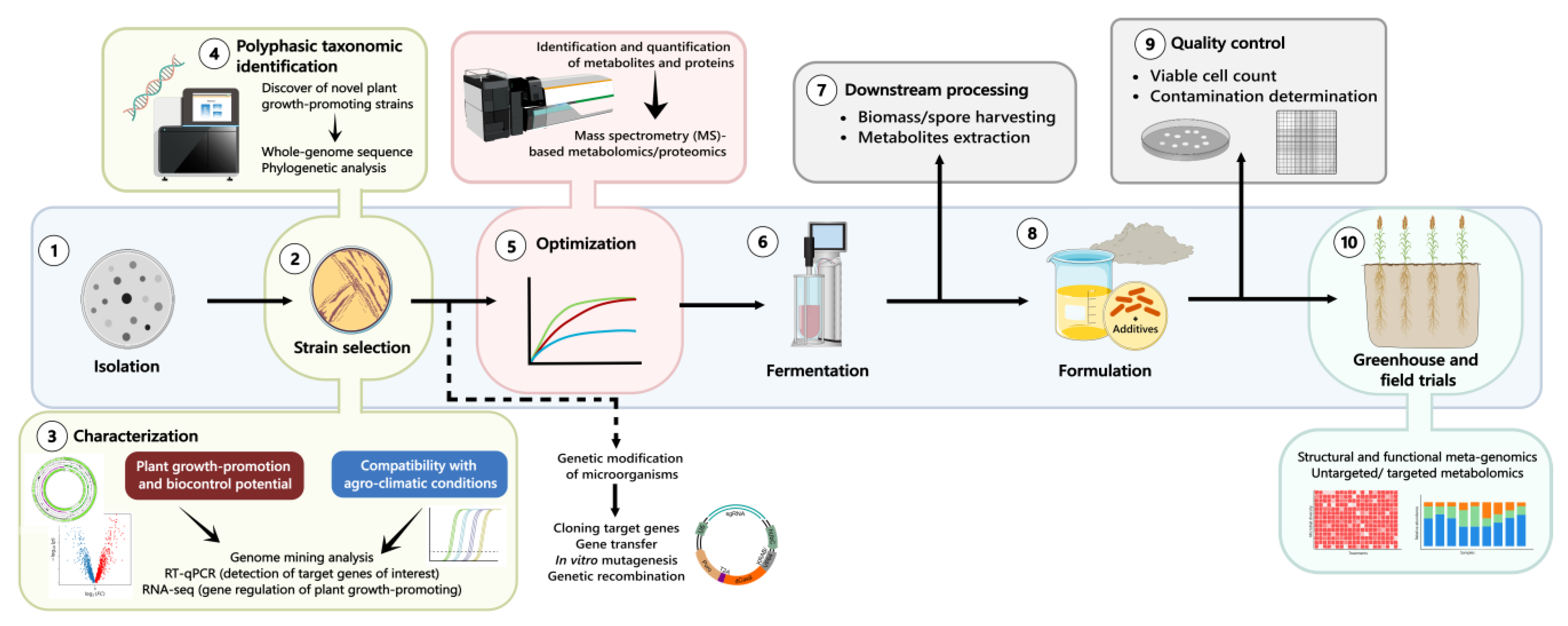 Plants 14 00191 g002