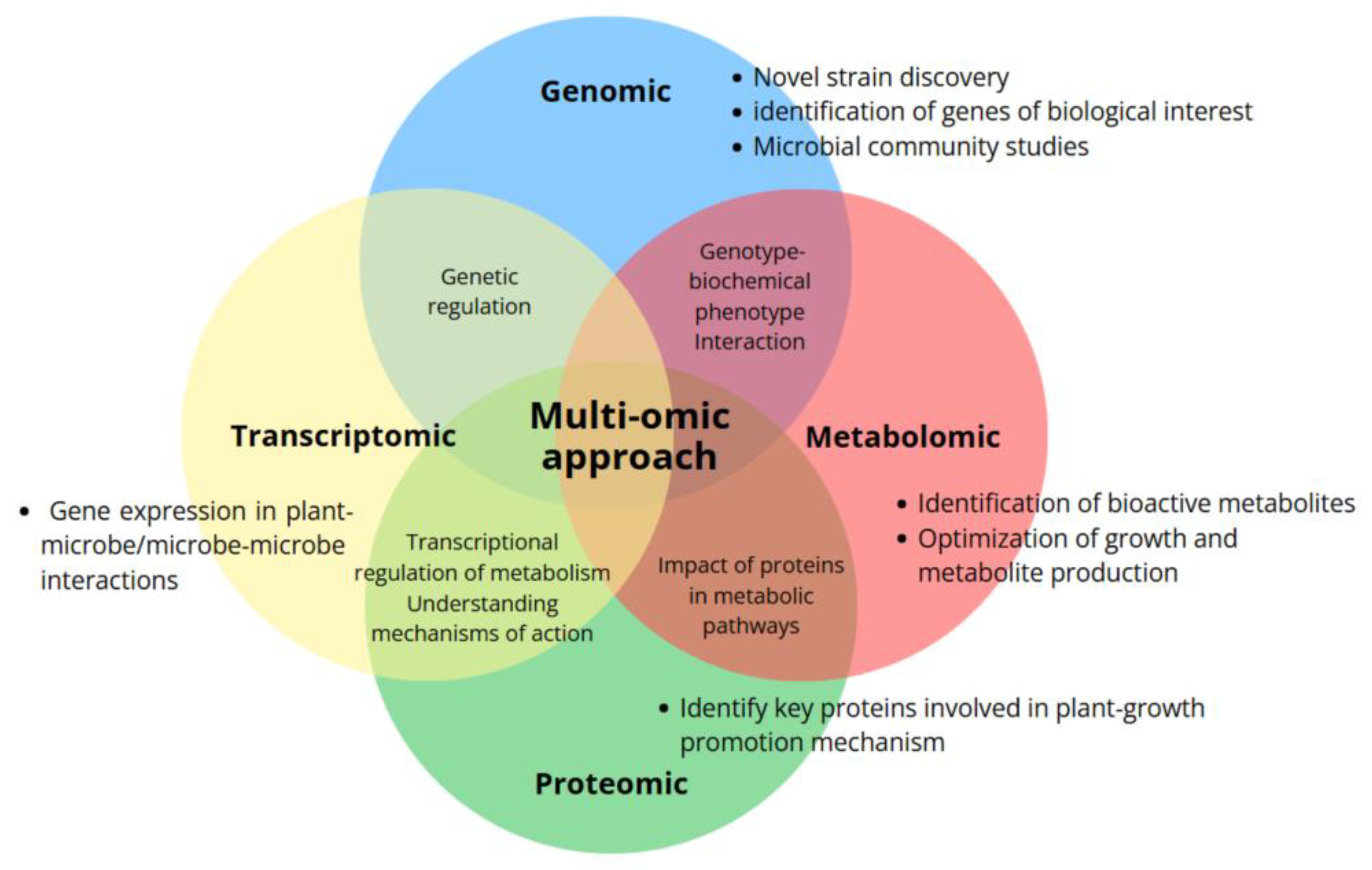 Microbial Inoculants in Sustainable Agriculture
