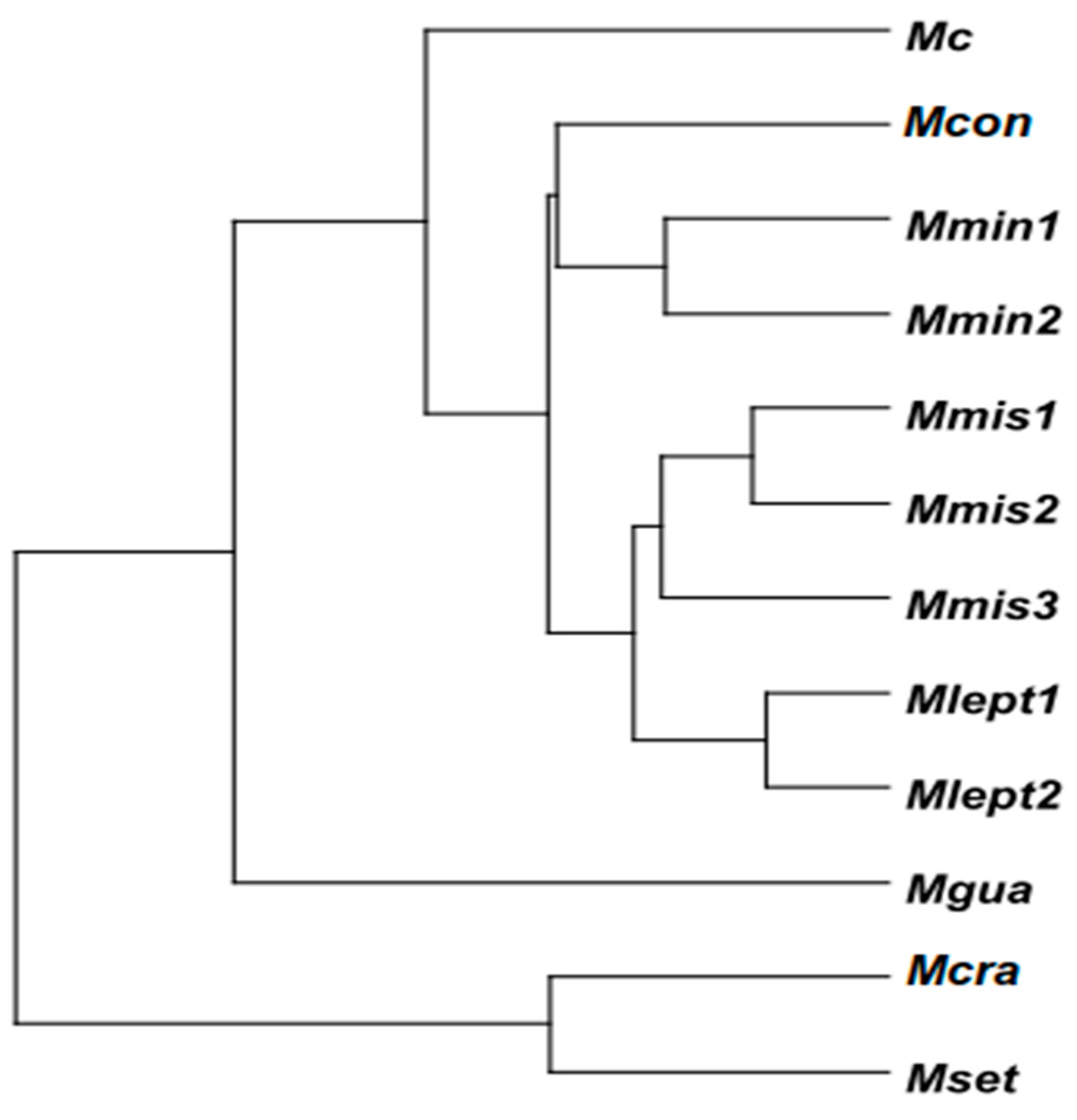 Plants 14 00194 g004 Plants 14 00194 g004