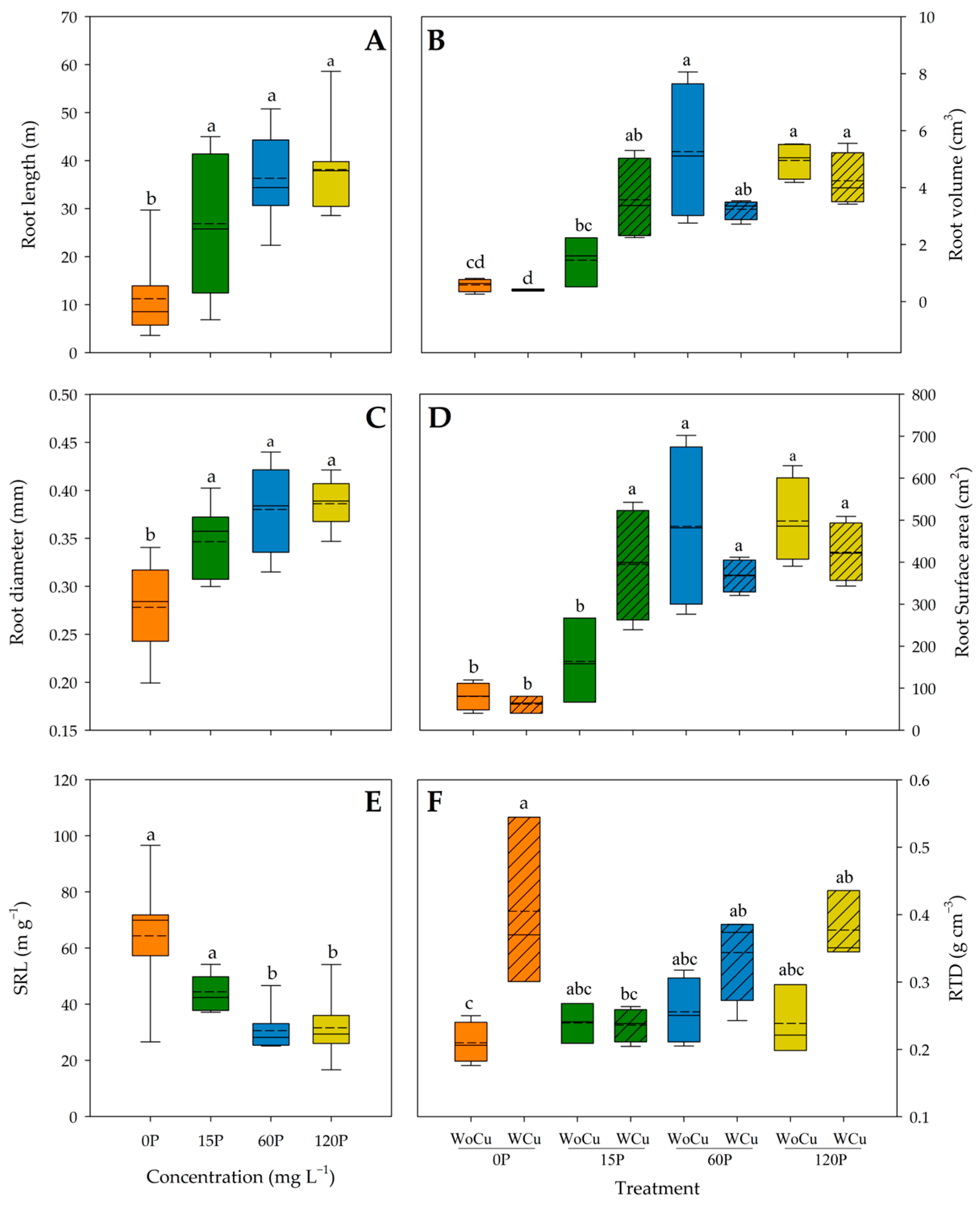 Plants 14 00195 g002