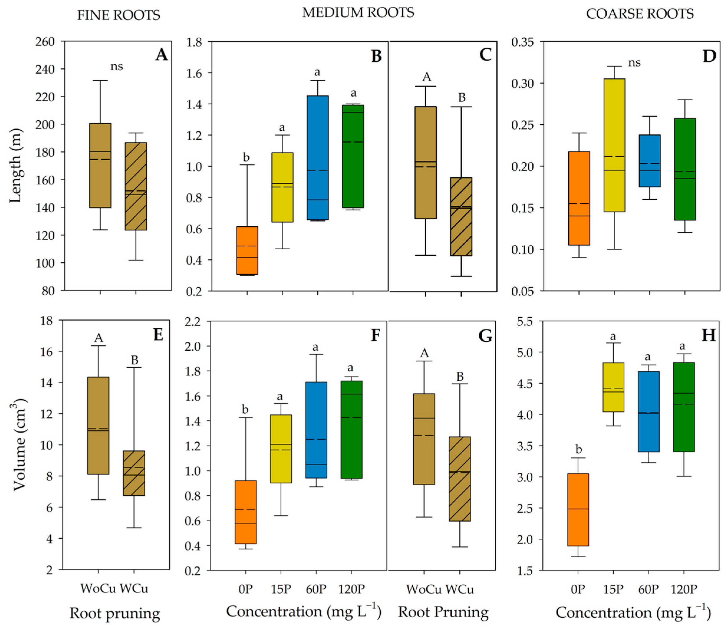 Plants 14 00195 g003