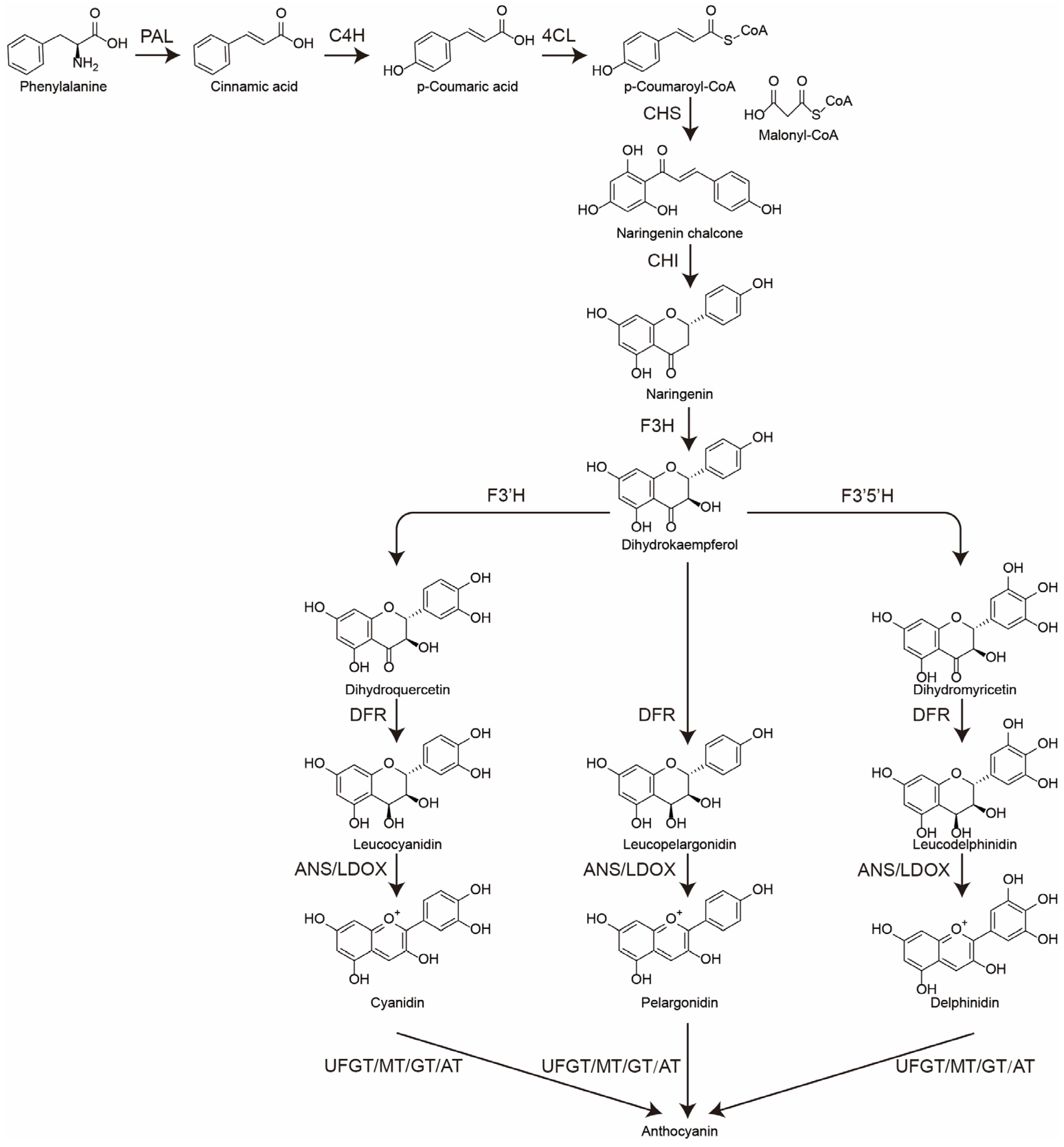 Plants 14 00197 g001