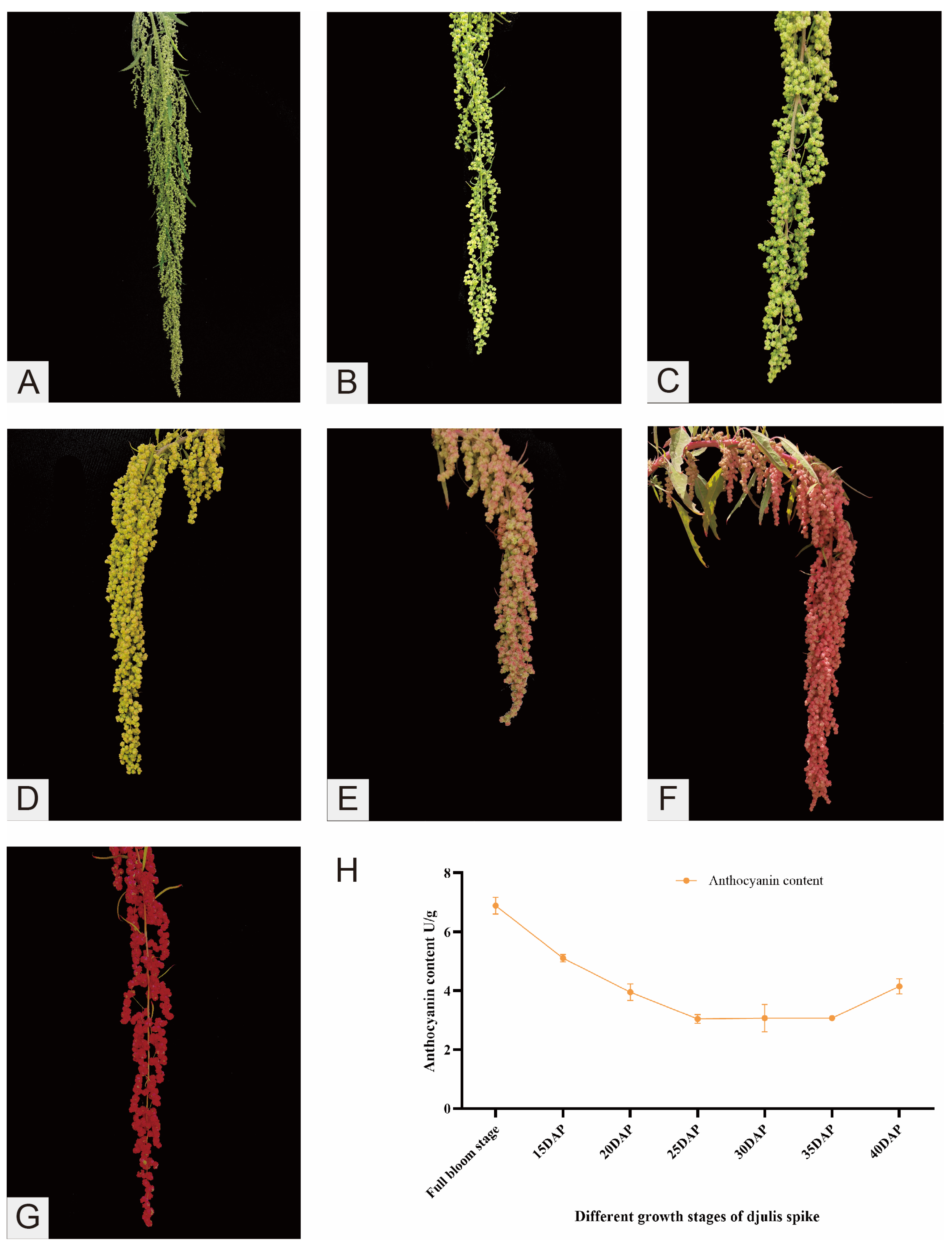 Plants 14 00197 g002
