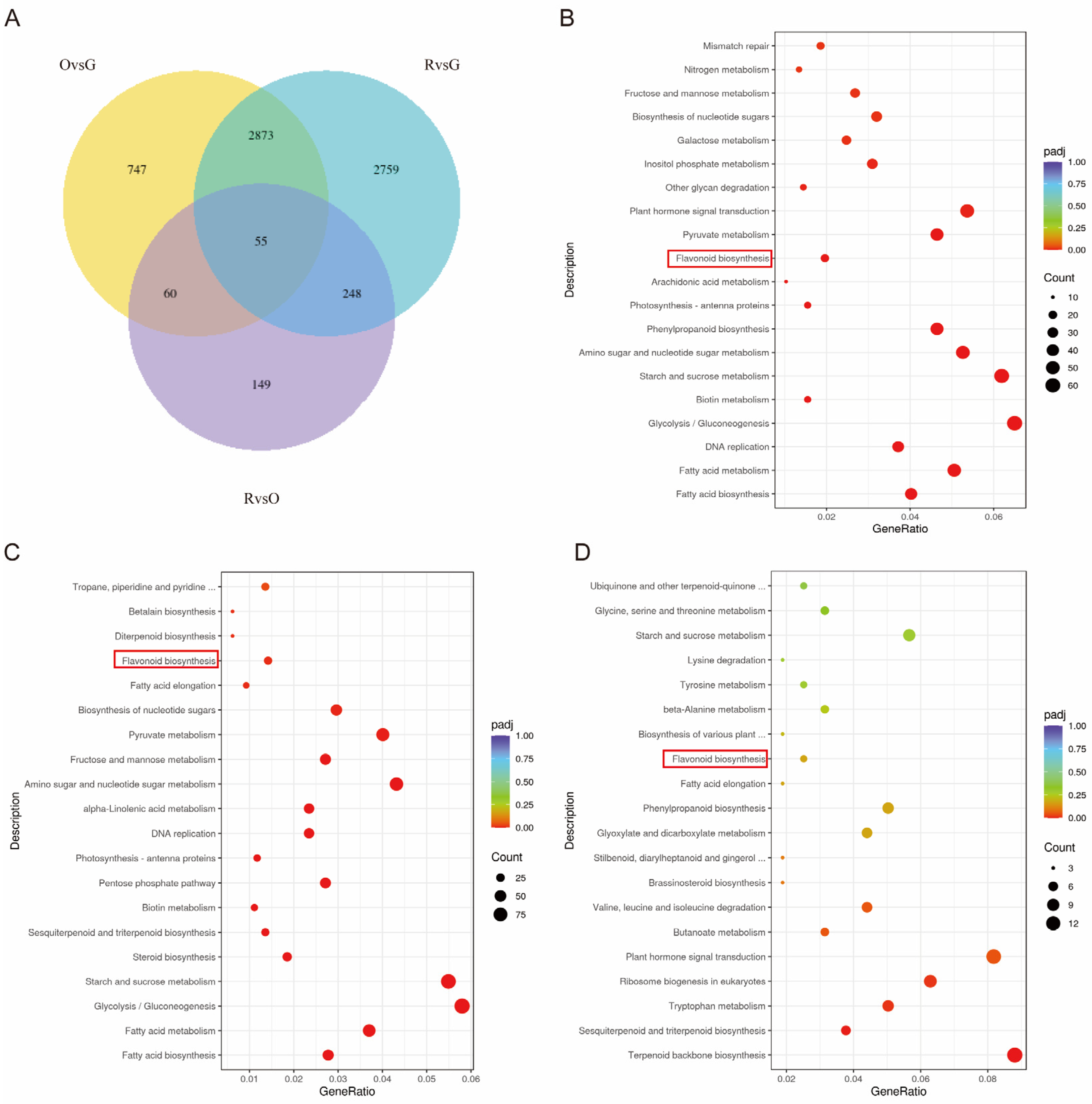 Plants 14 00197 g005