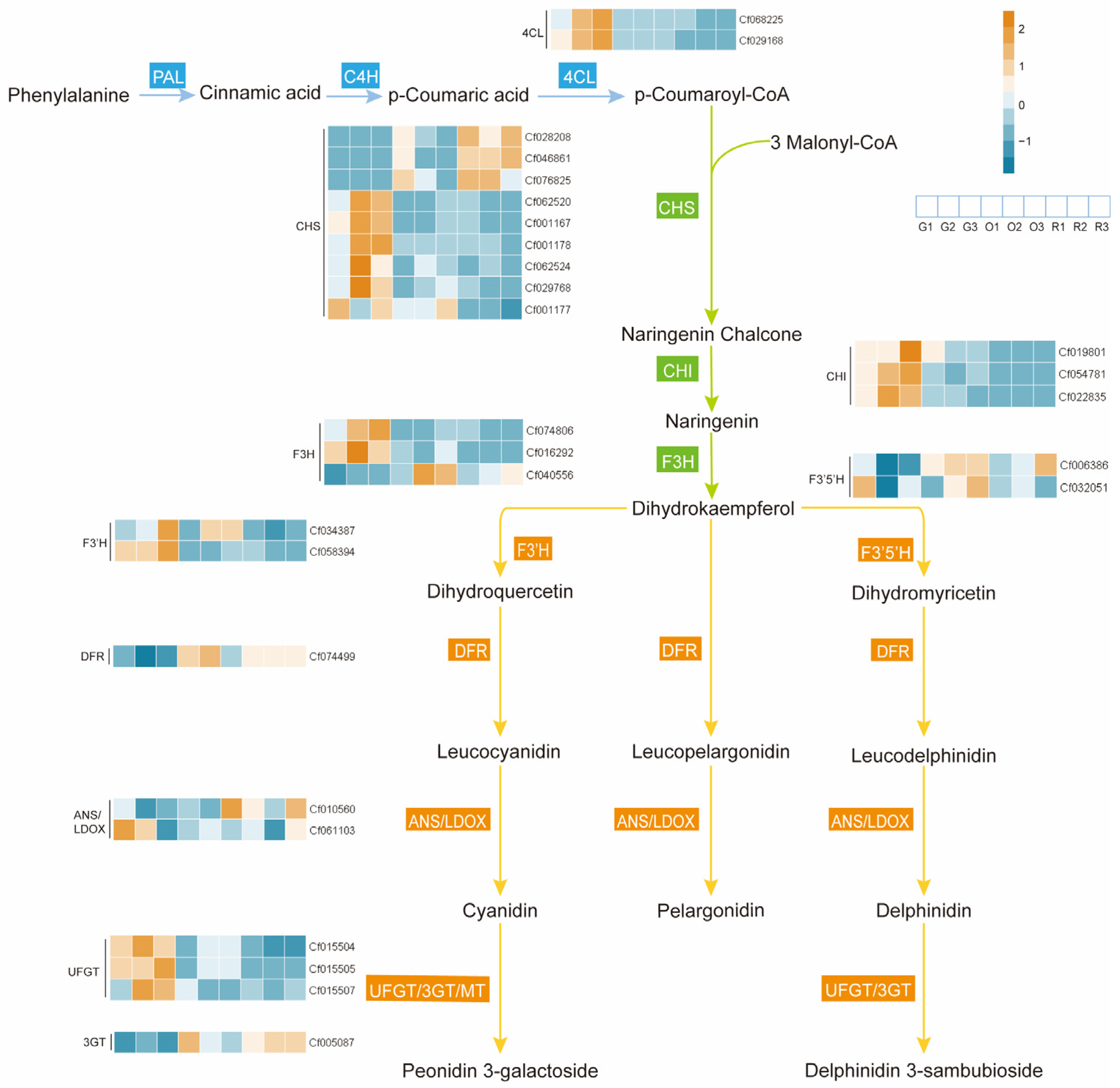 Plants 14 00197 g008