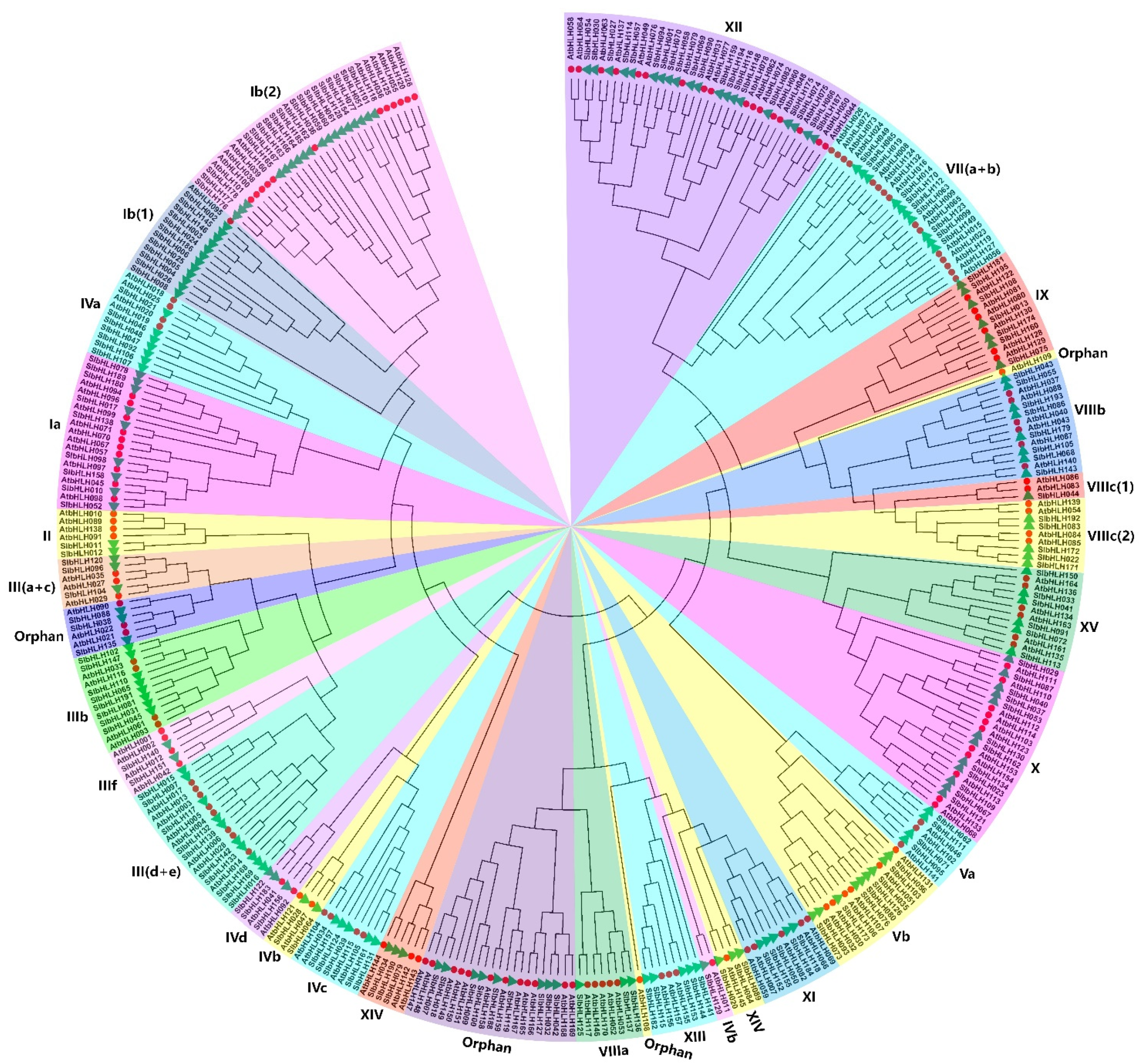 Plants 14 00200 g002