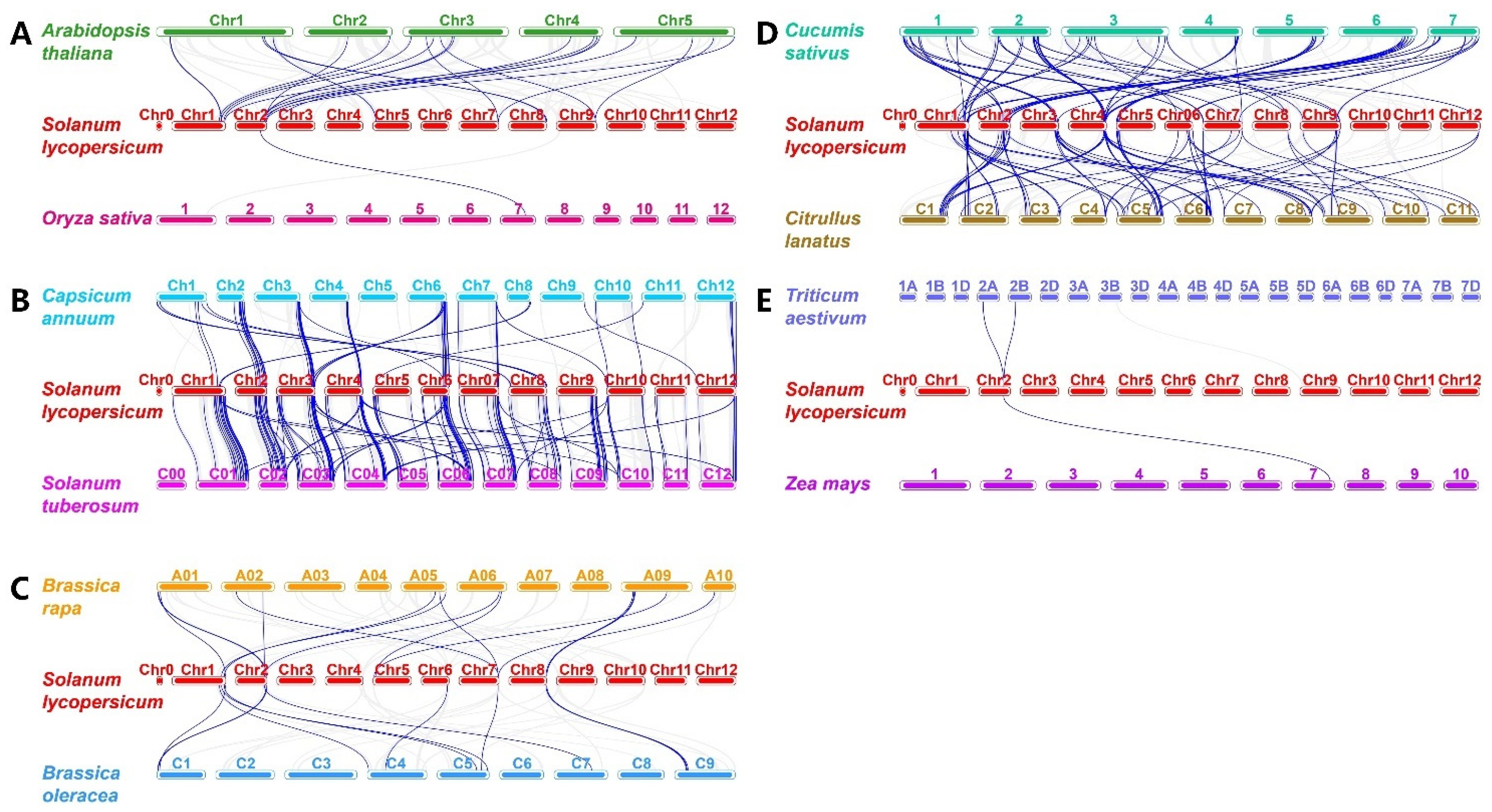 Plants 14 00200 g004