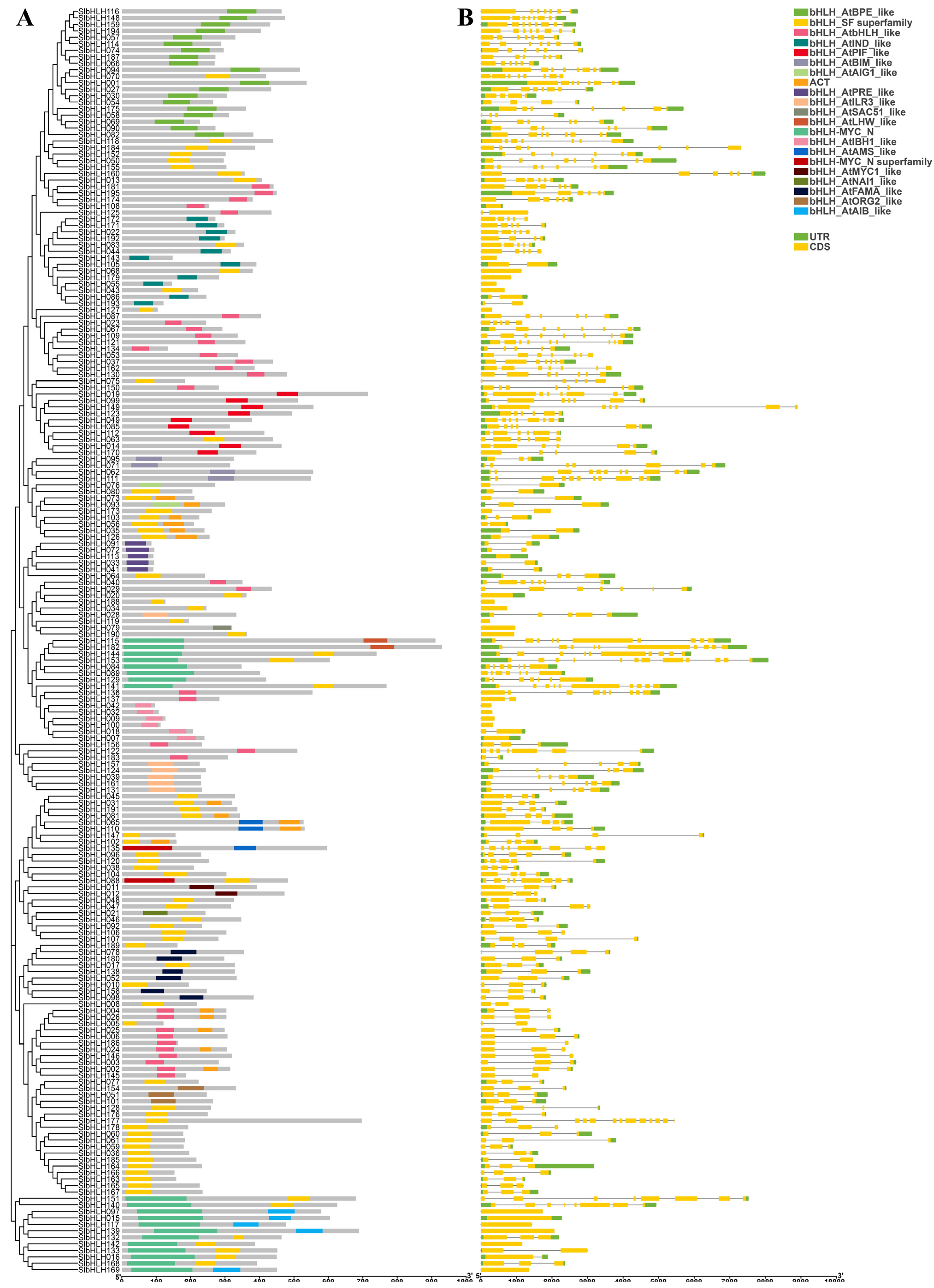 Plants 14 00200 g005