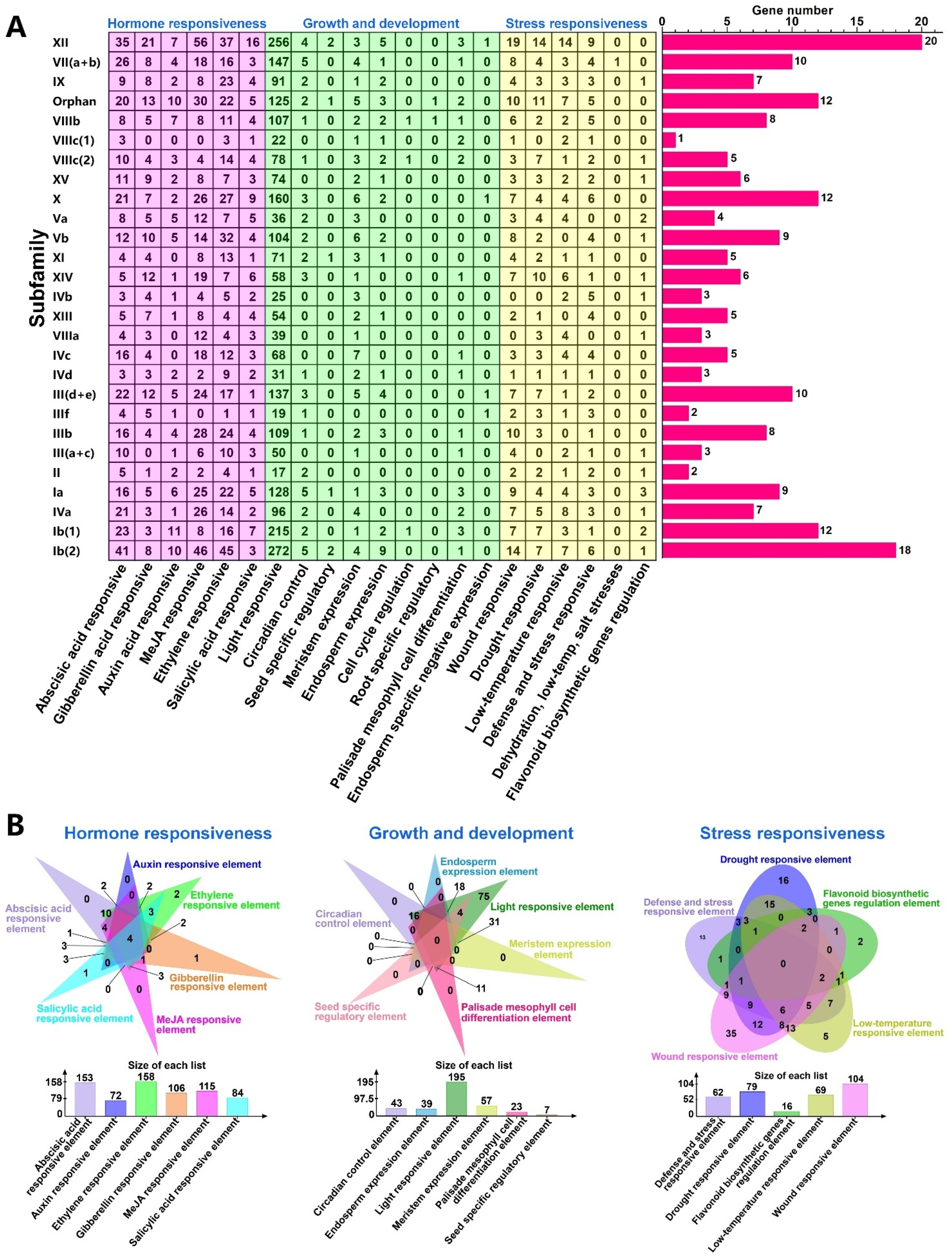 Plants 14 00200 g006