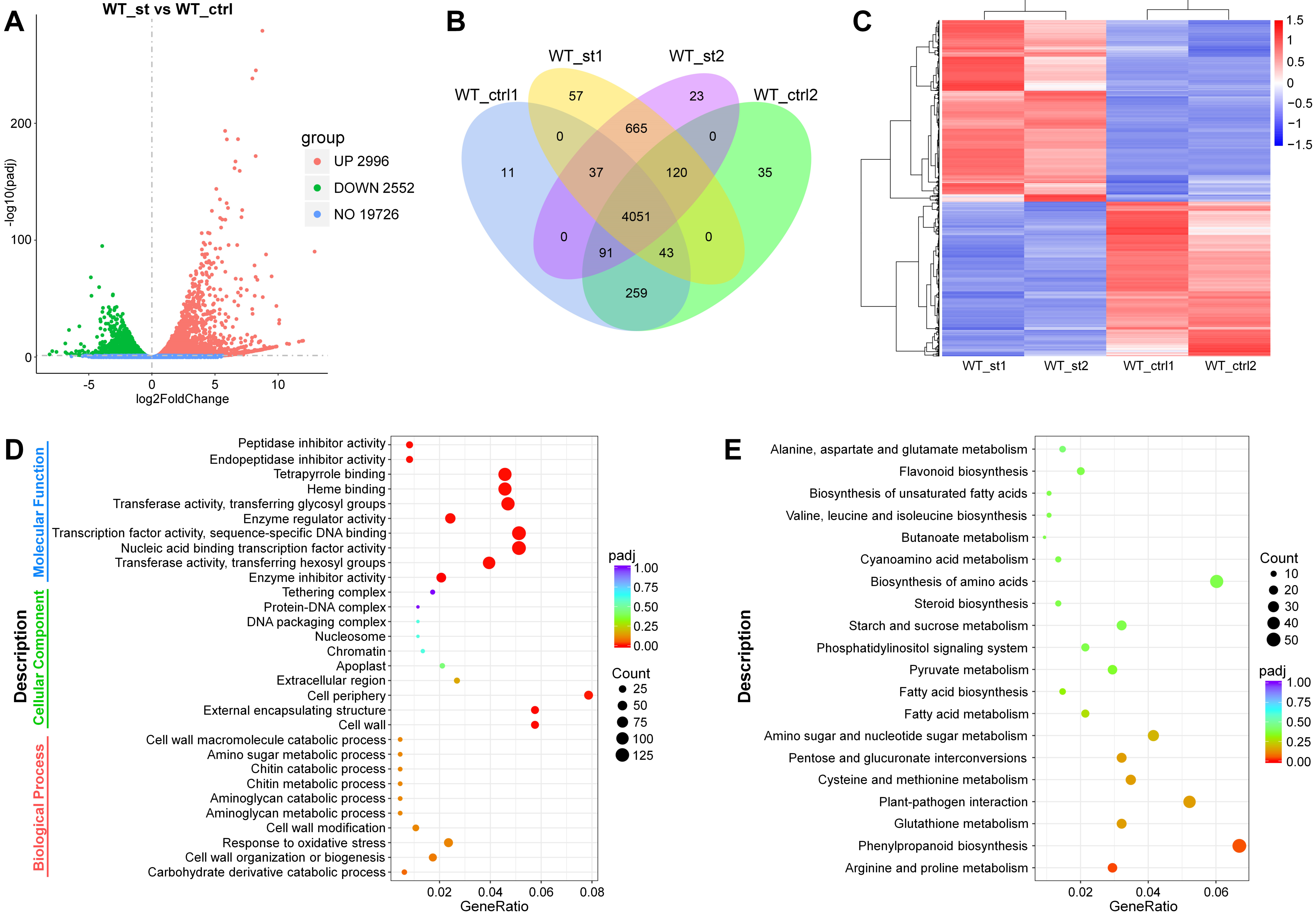 Plants 14 00200 g007