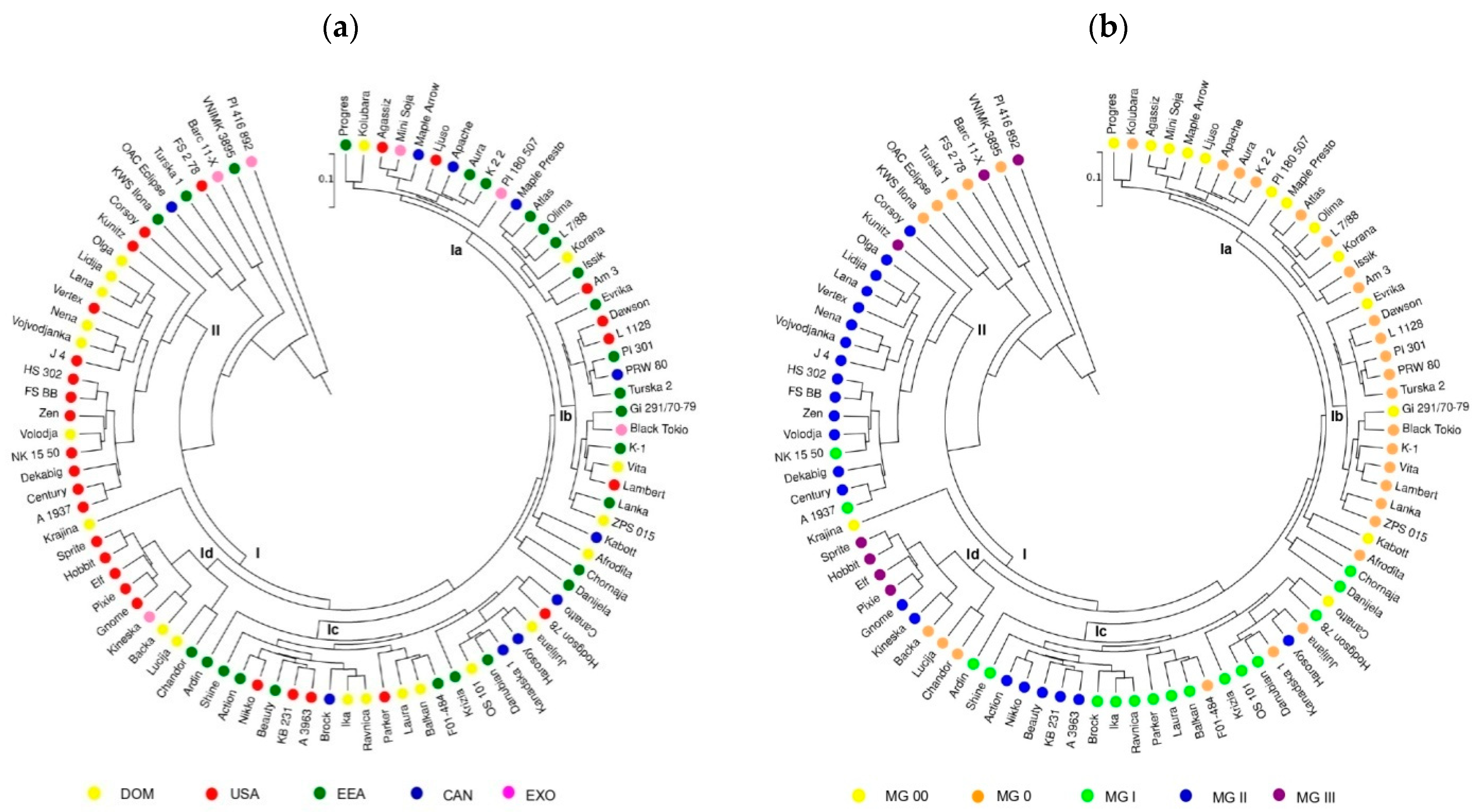Plants 14 00201 g005 Plants 14 00201 g005