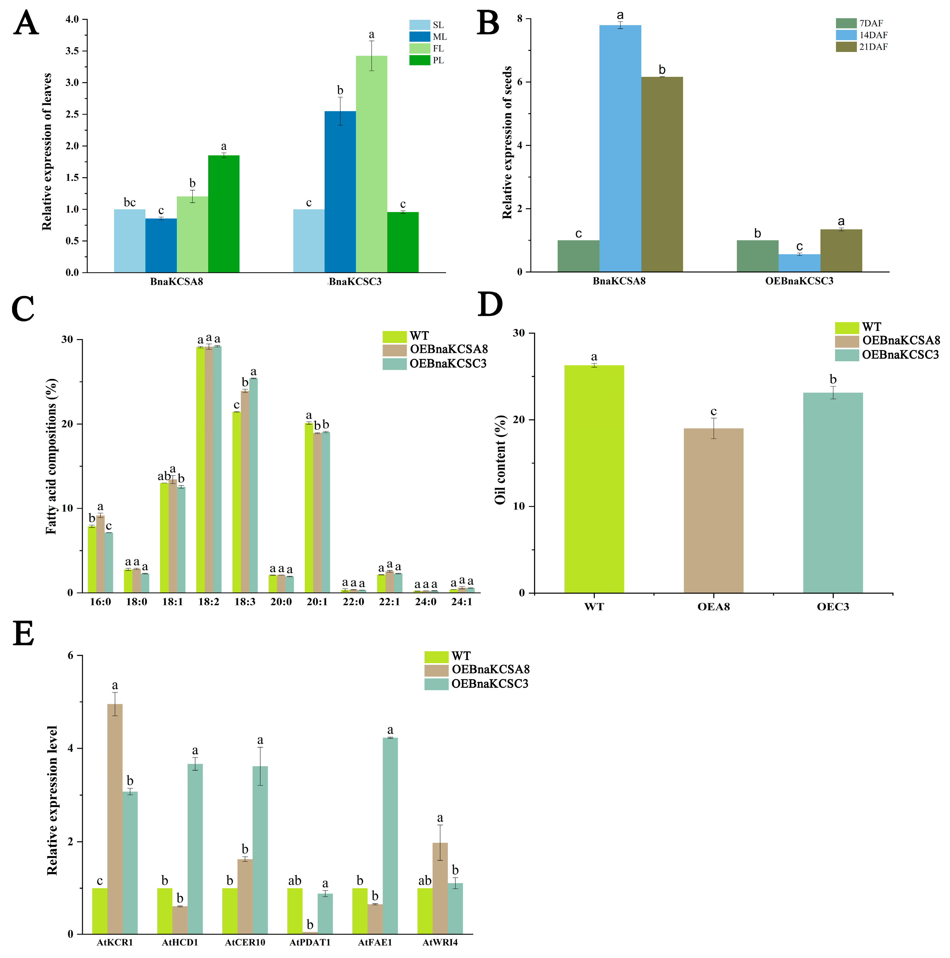 Plants 14 00202 g005