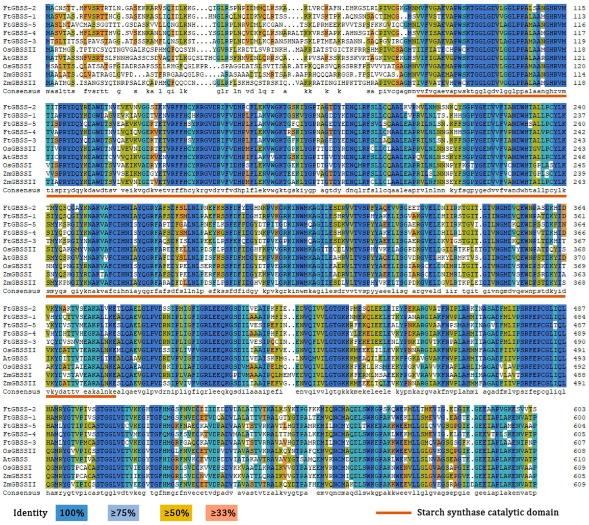 Plants 14 00203 g002