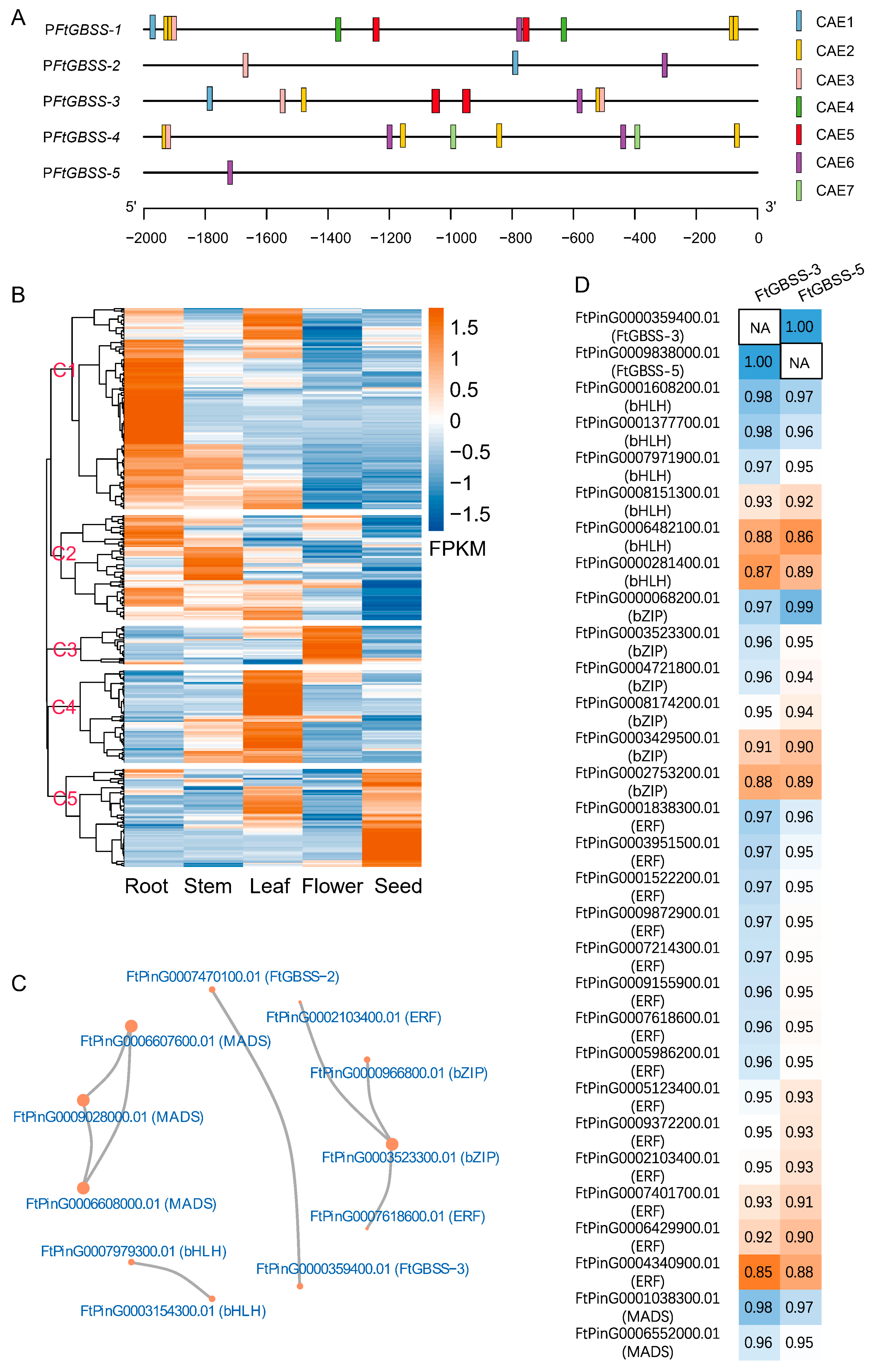 Plants 14 00203 g005