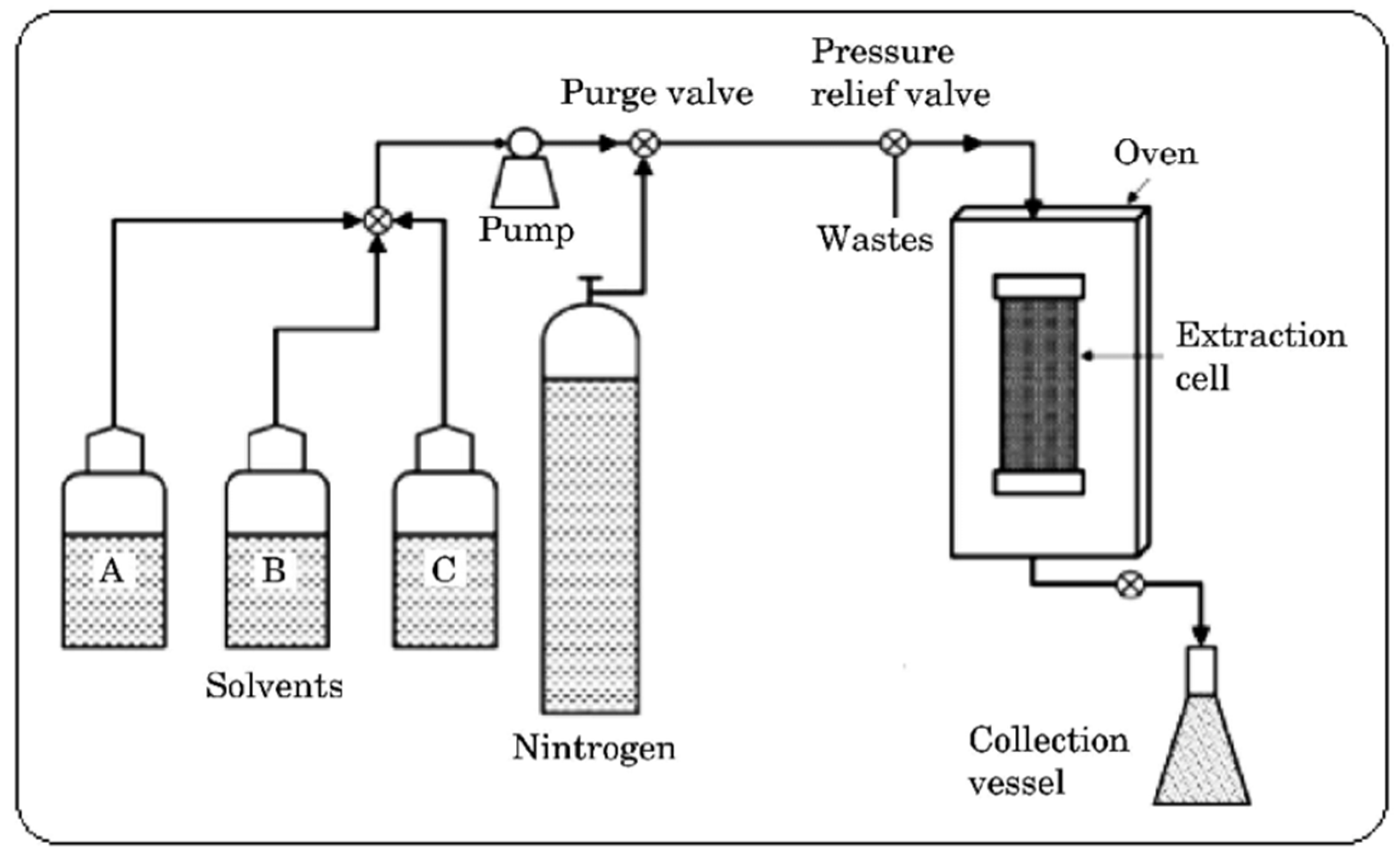 Plants 14 00206 g003