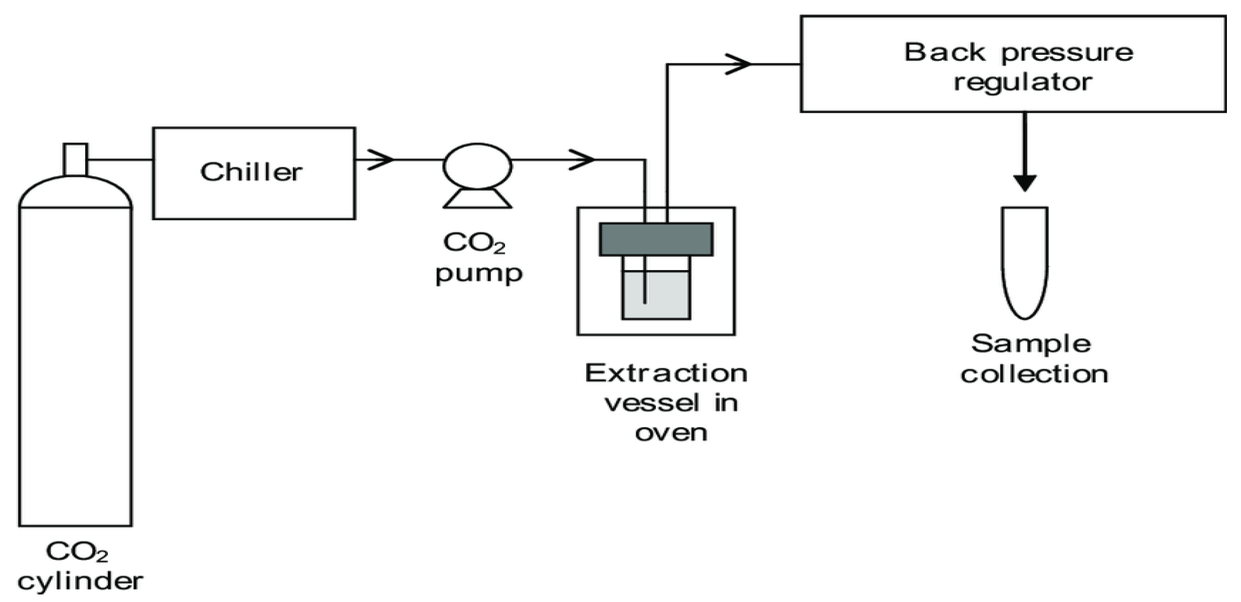 Plants 14 00206 g004