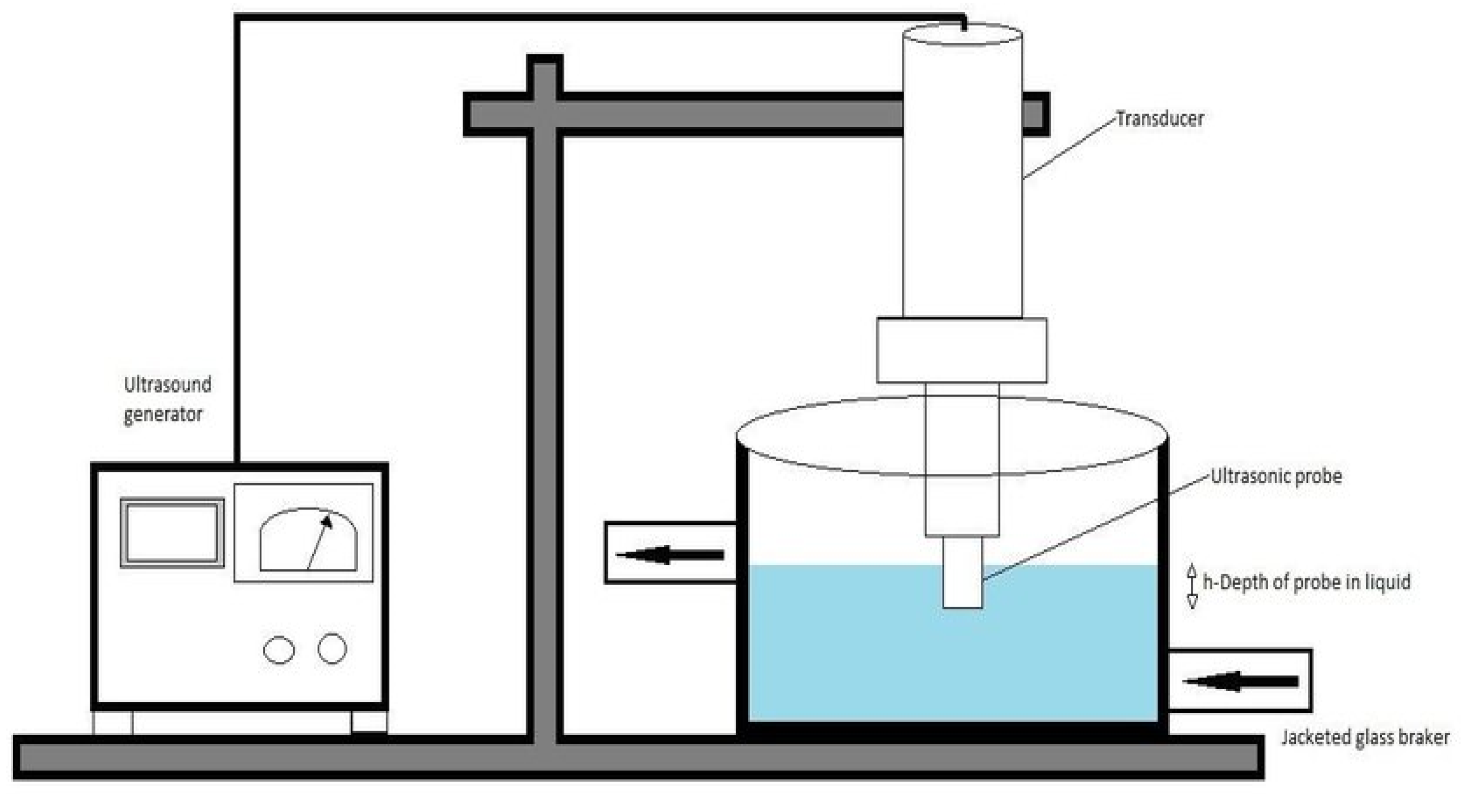 Plants 14 00206 g006