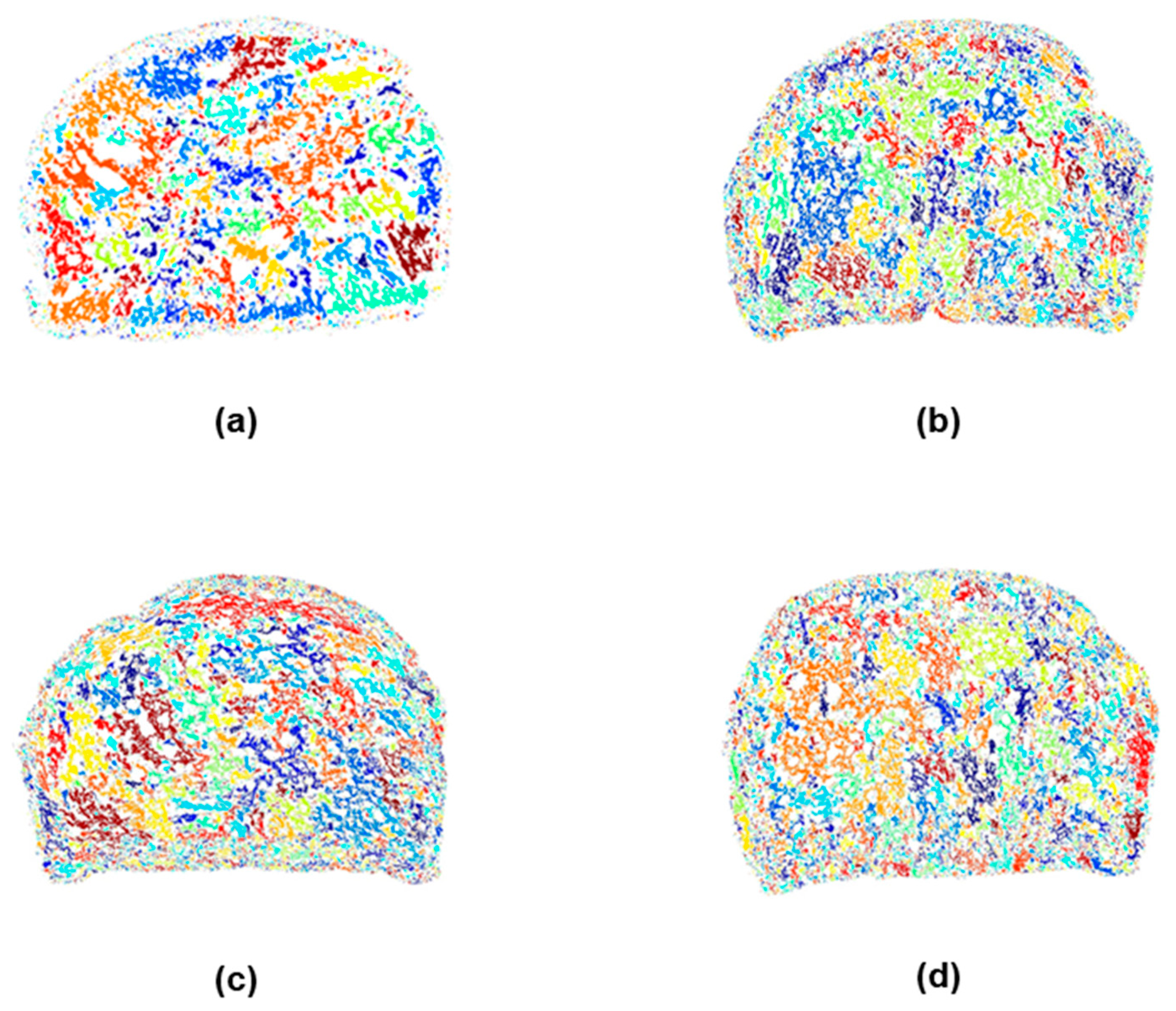 Plants 14 00207 g006