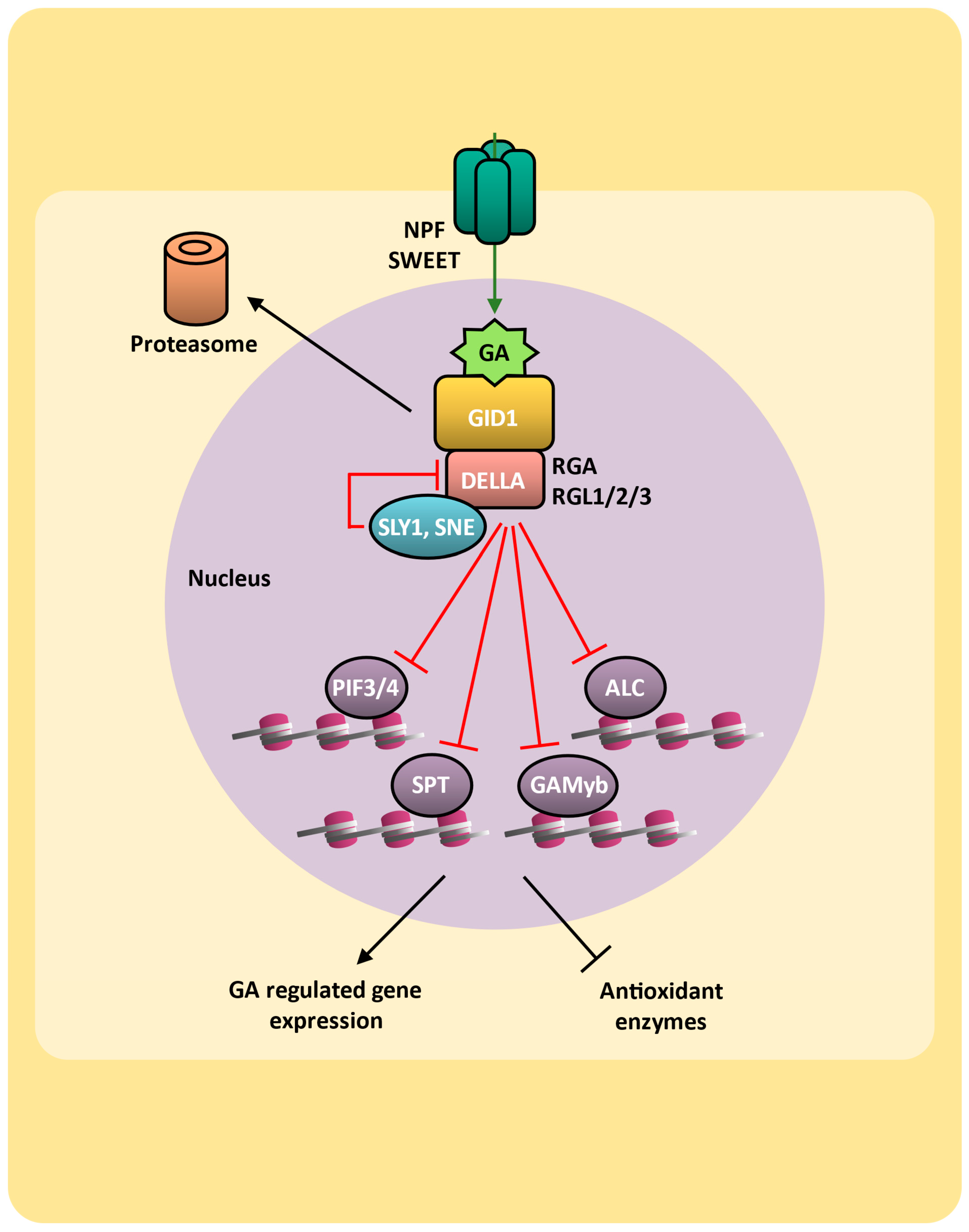 Plants 14 00208 g005