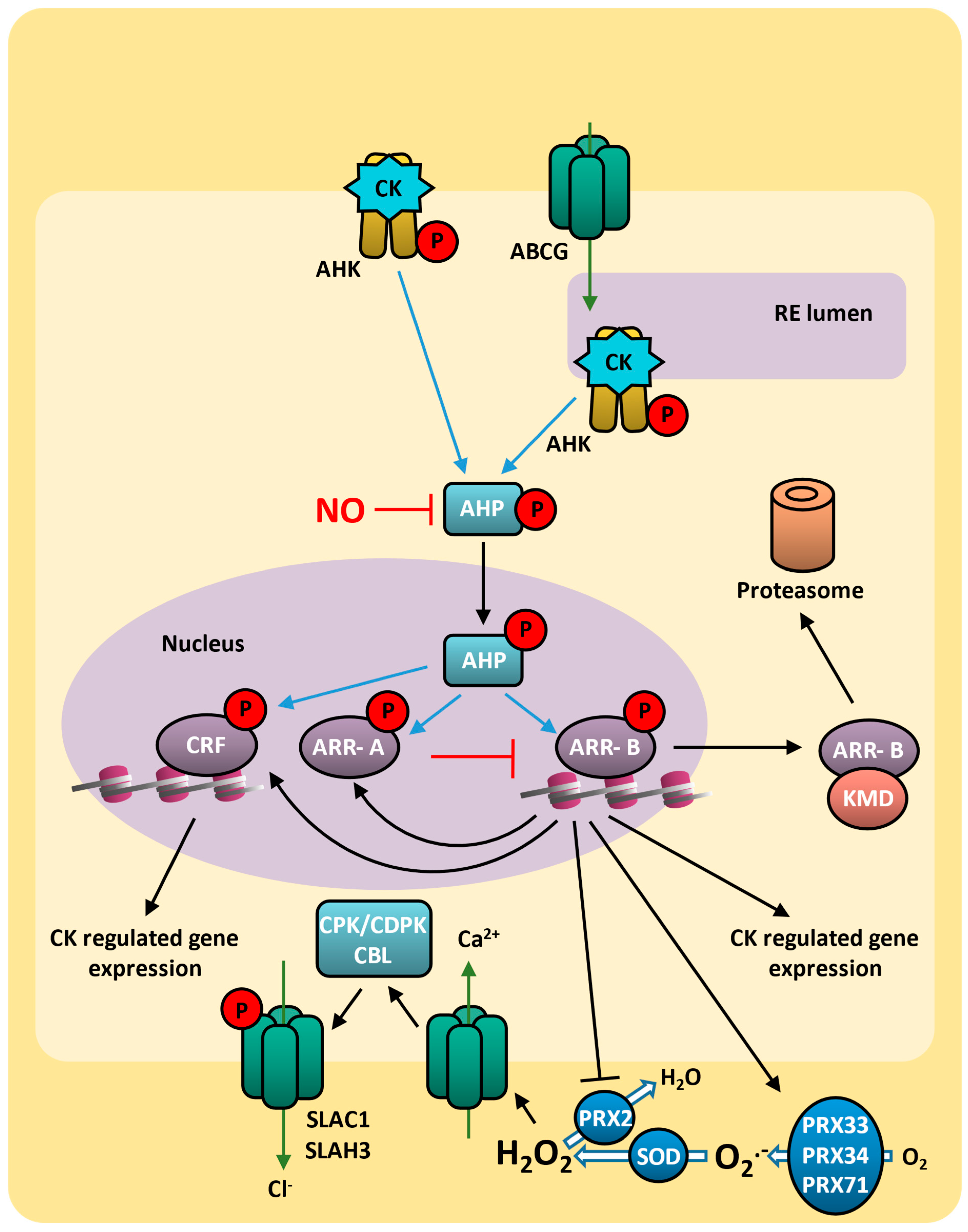 Plants 14 00208 g007