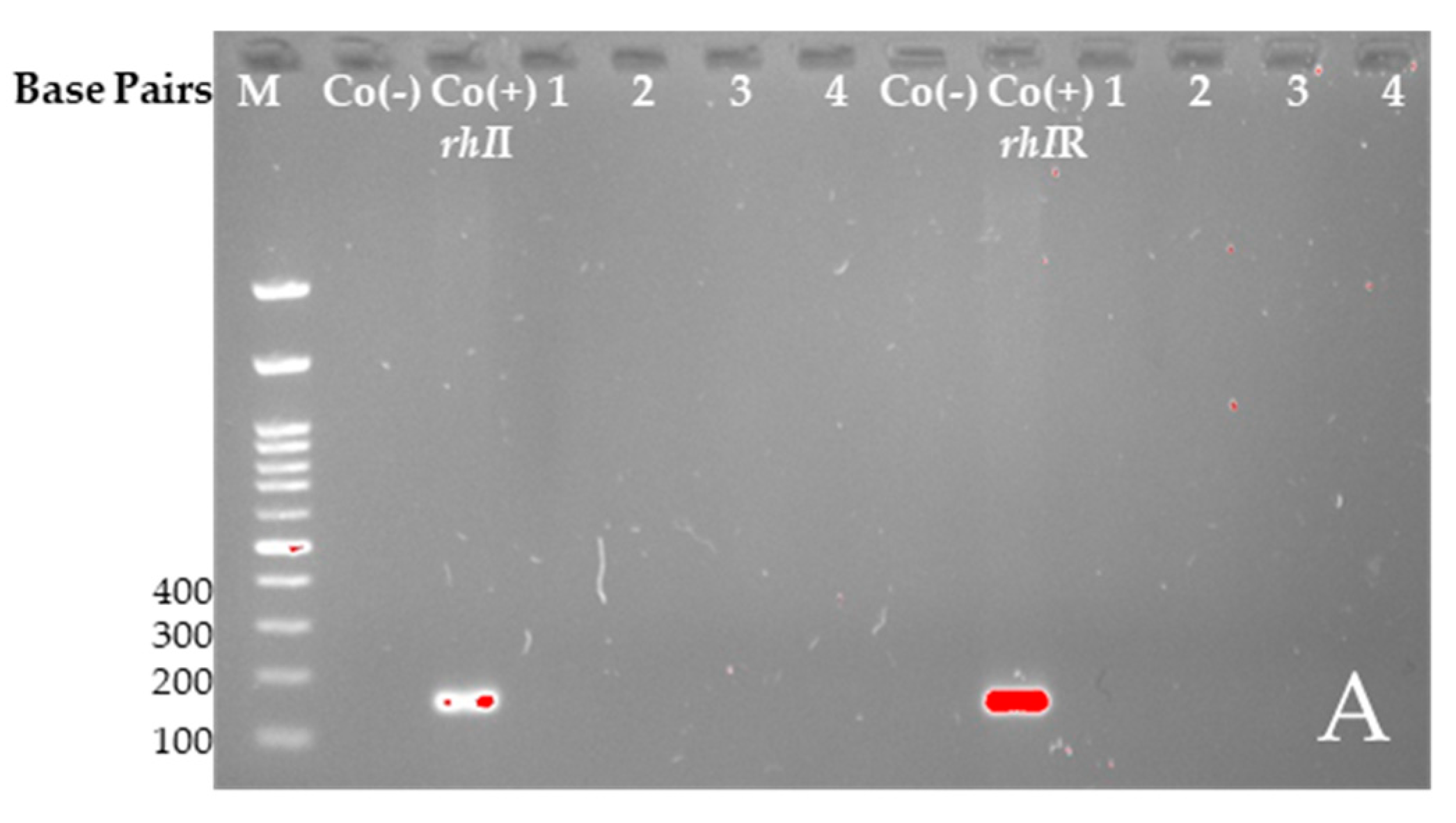 Plants 14 00213 g005a