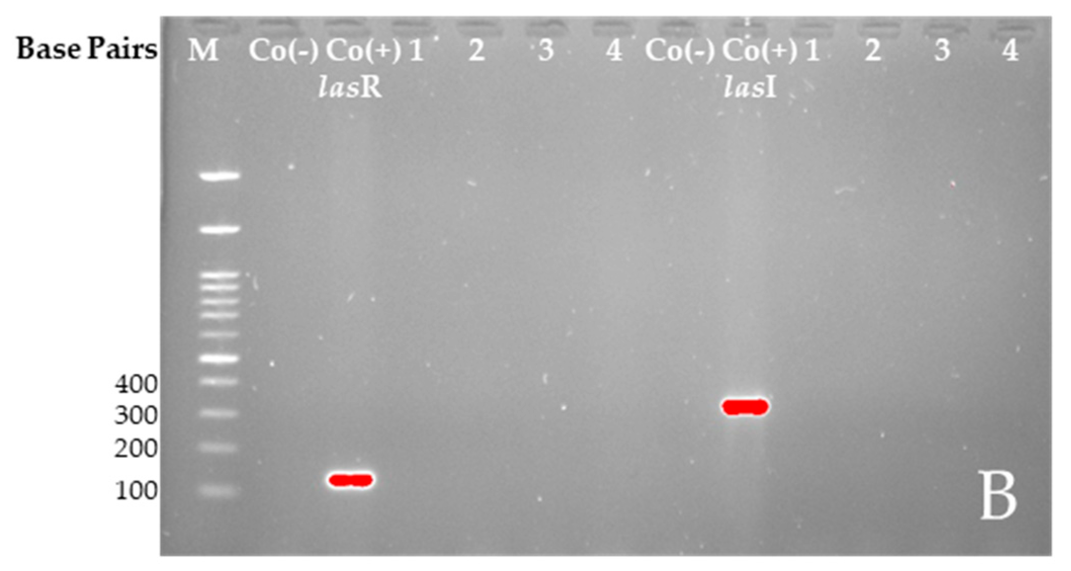 Plants 14 00213 g005b