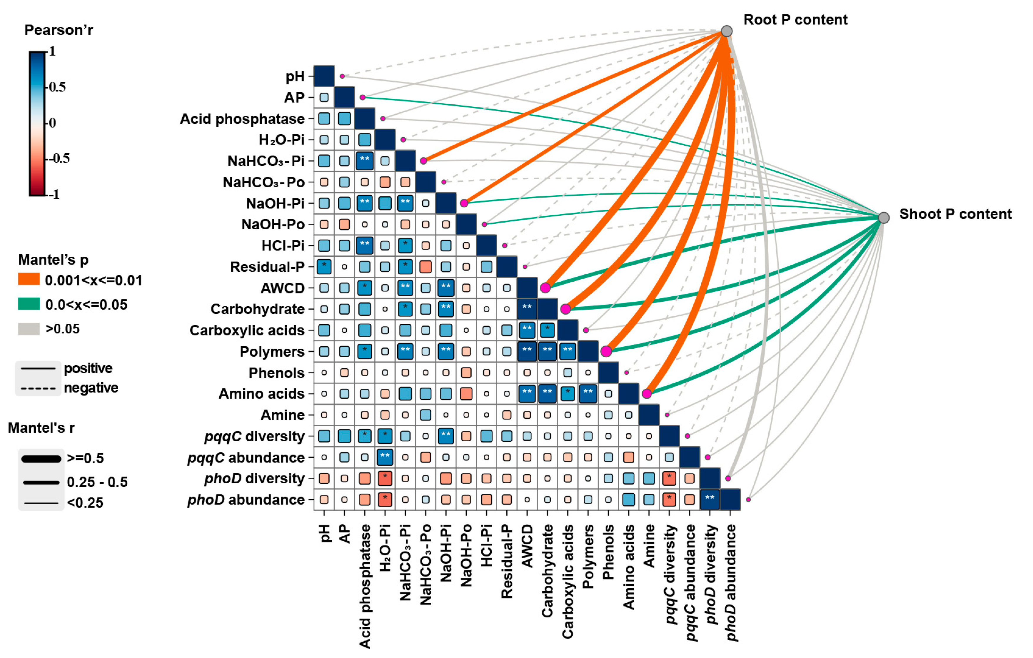 Plants 14 00214 g007