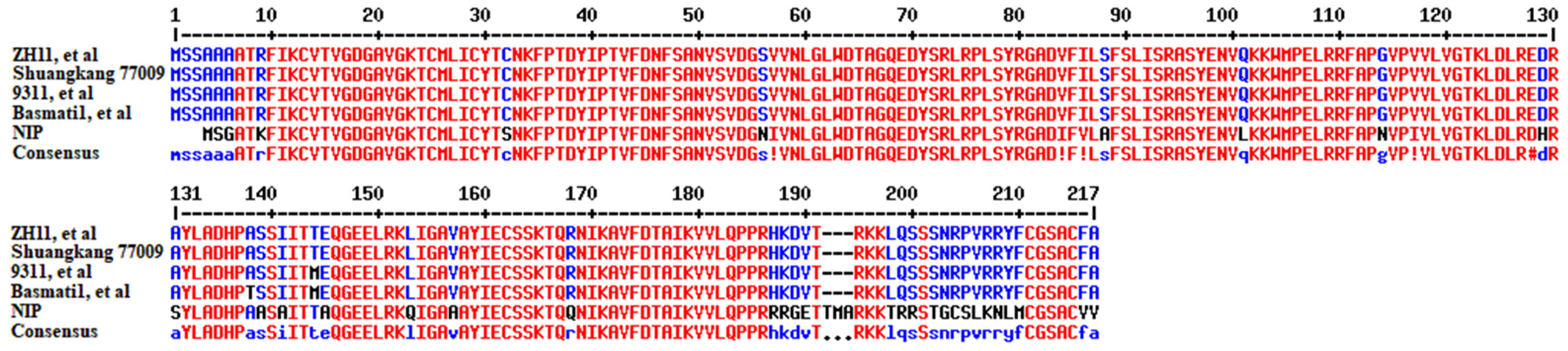 Plants 14 00217 g002