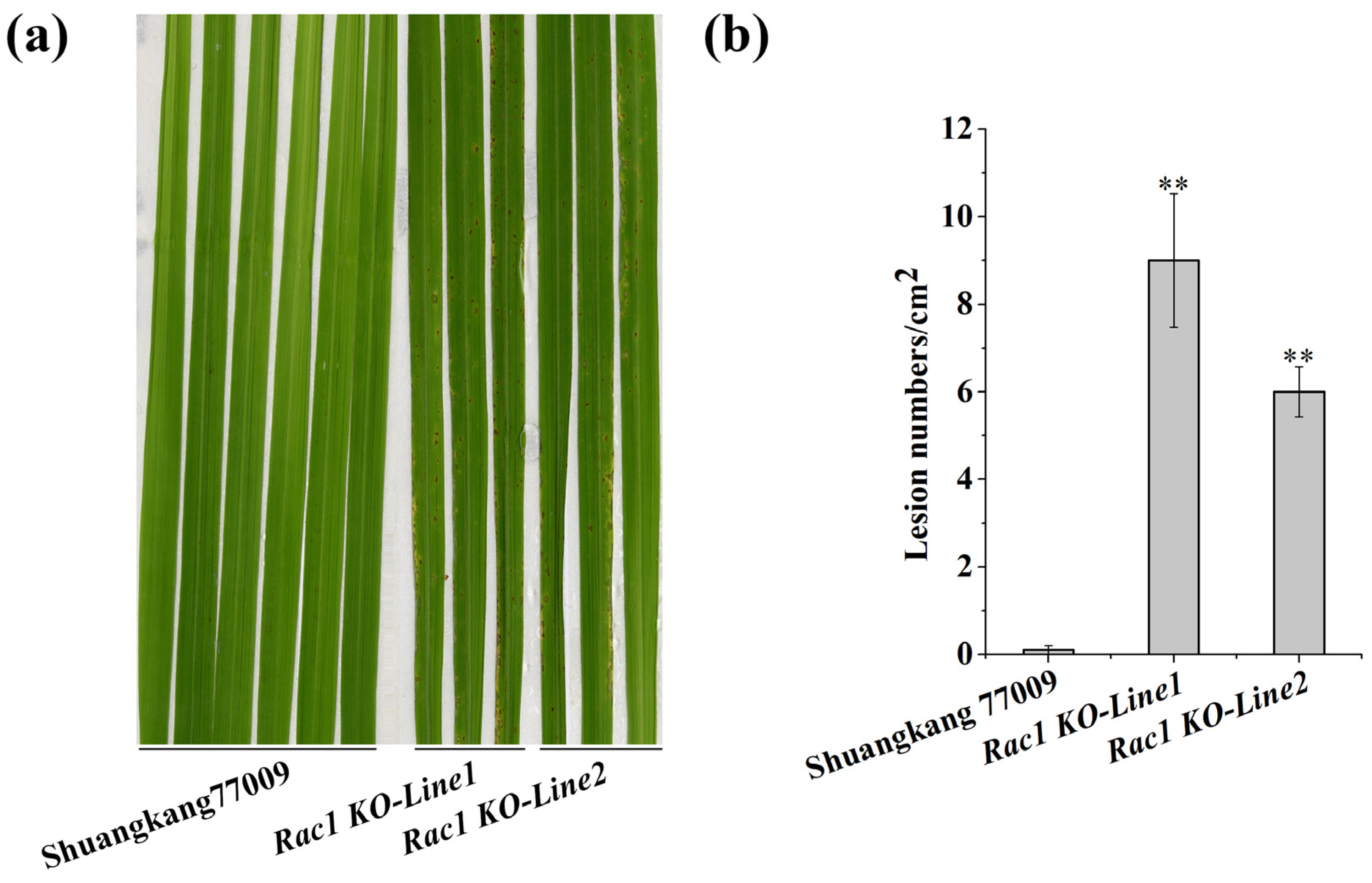 Plants 14 00217 g003