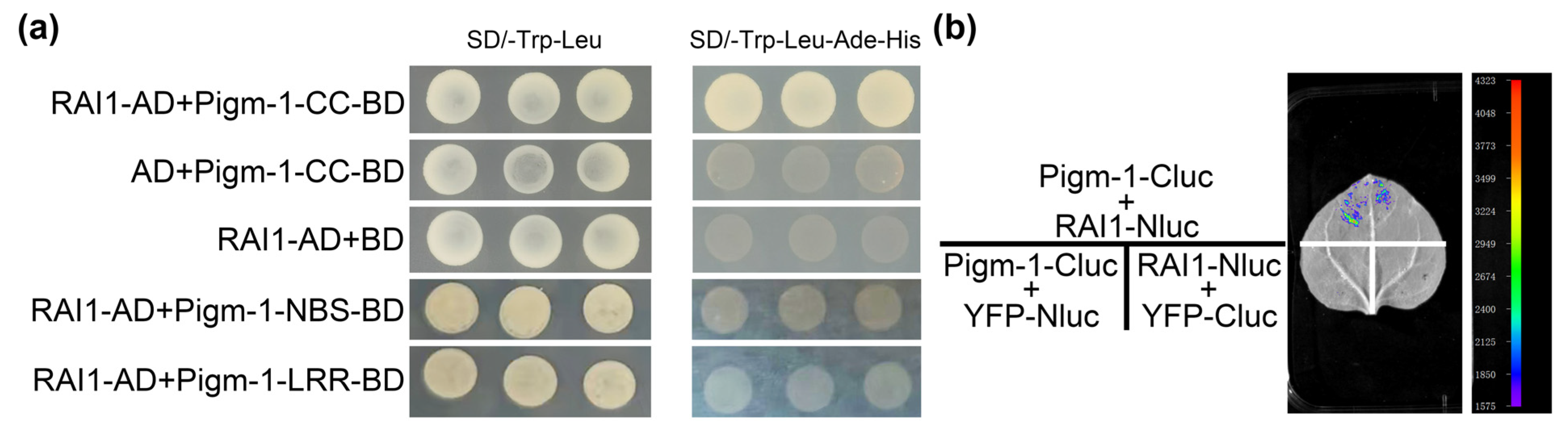 Plants 14 00217 g006