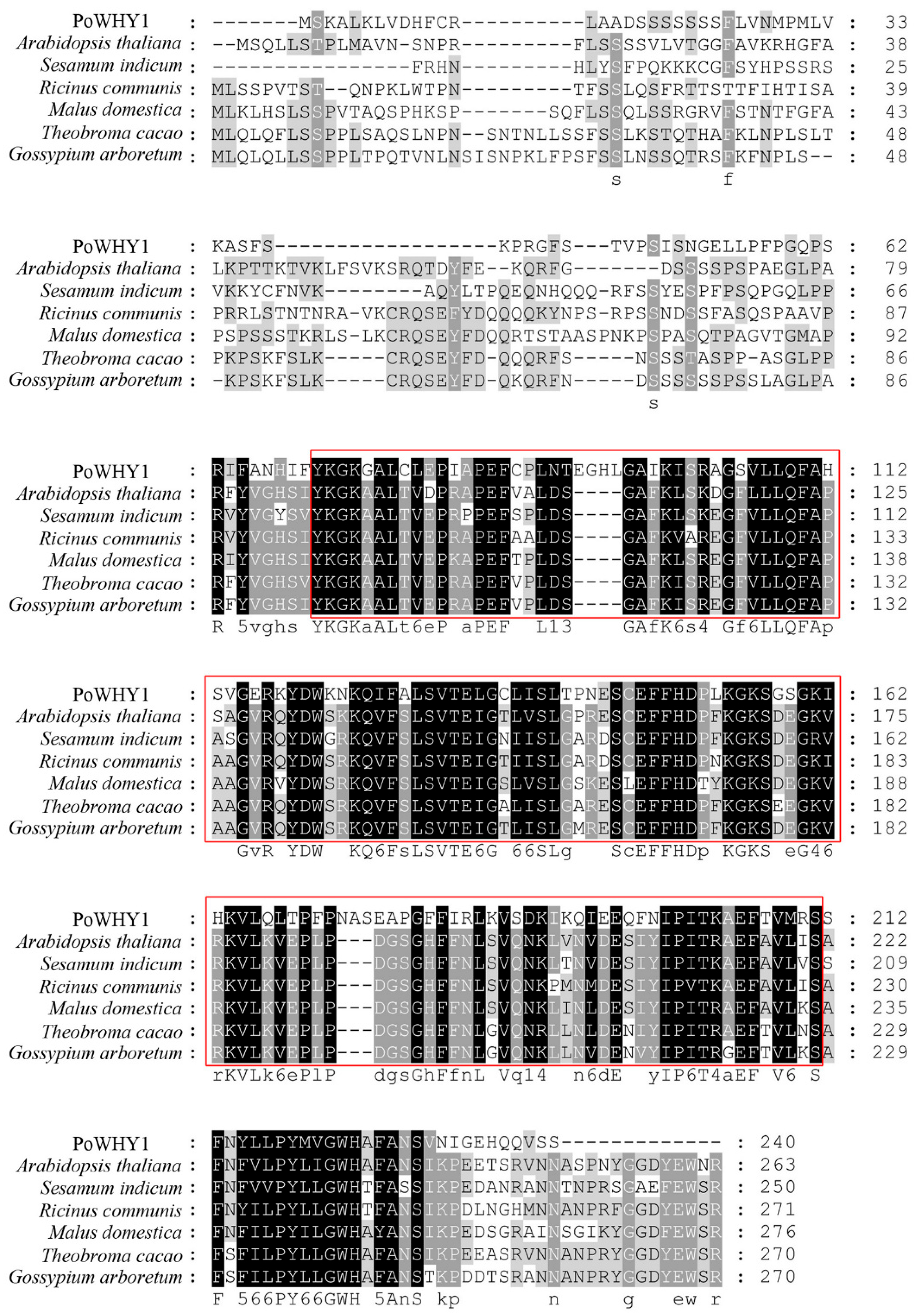 Plants 14 00218 g001