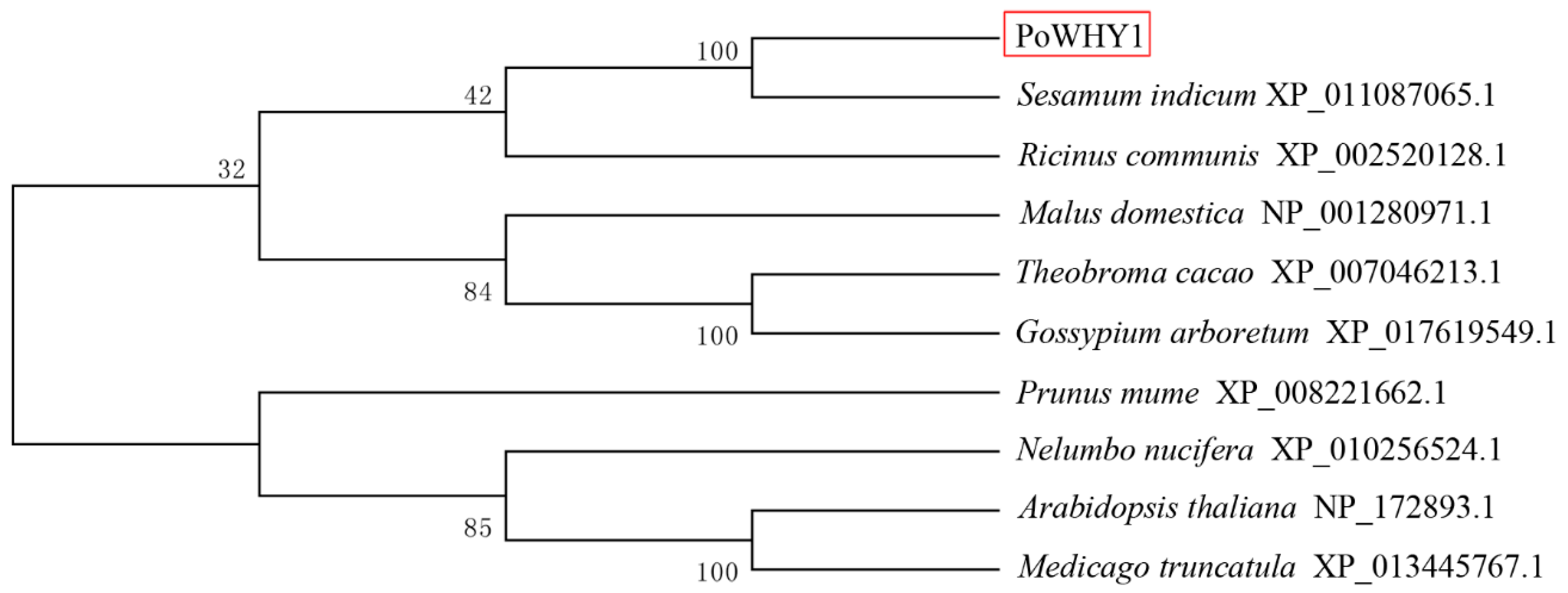 Plants 14 00218 g002