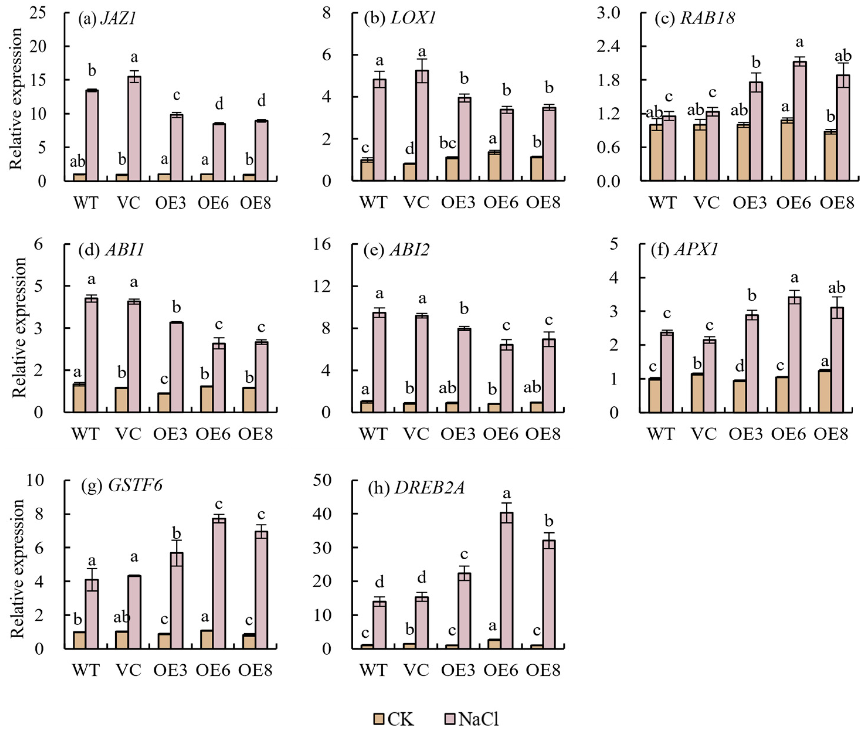 Plants 14 00218 g010