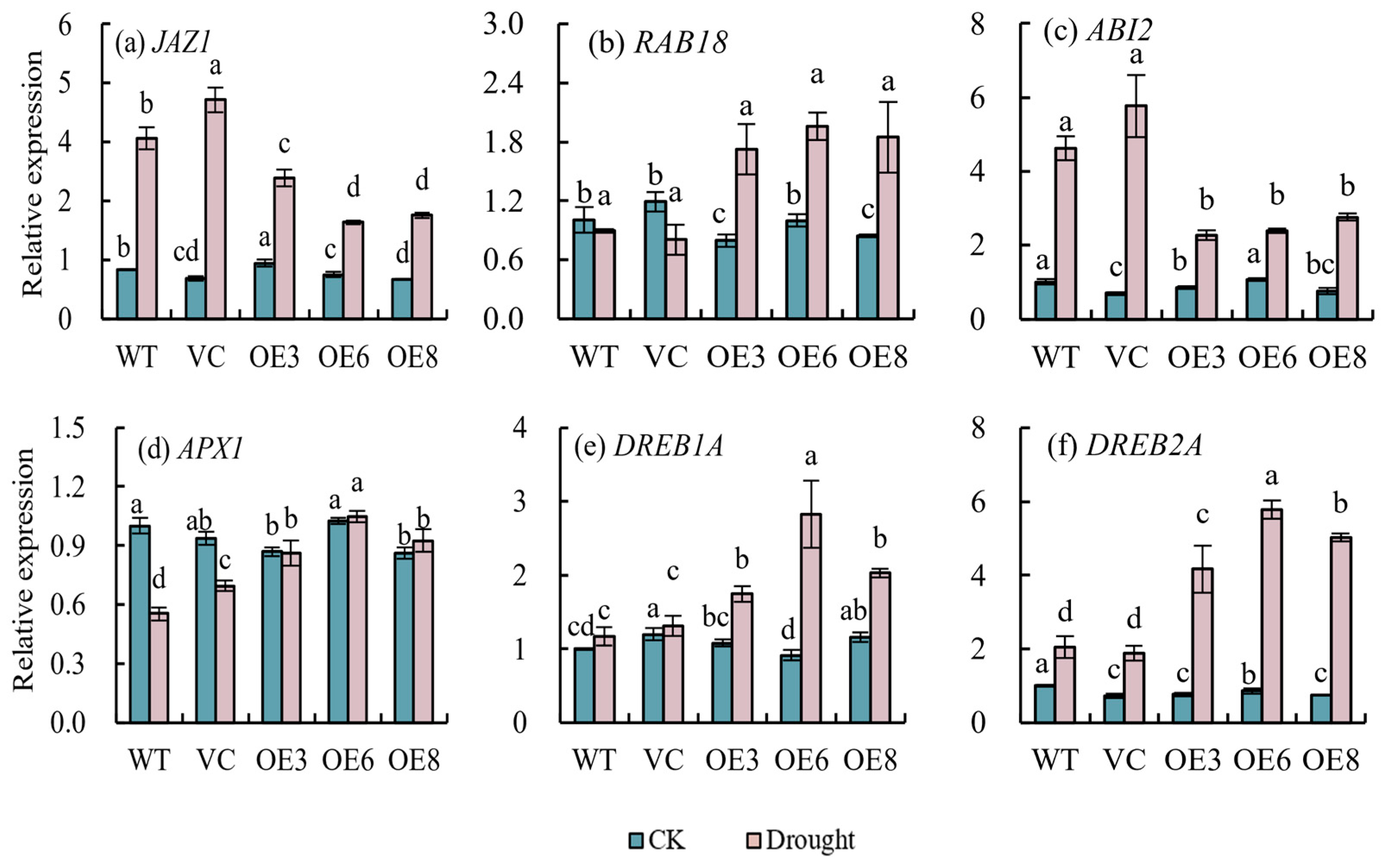 Plants 14 00218 g012