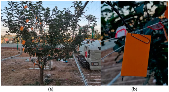 orange -オレンジ-日本版B2ポスター Deposition Characteristics of Air-Assisted Sprayer Based on Canopy
