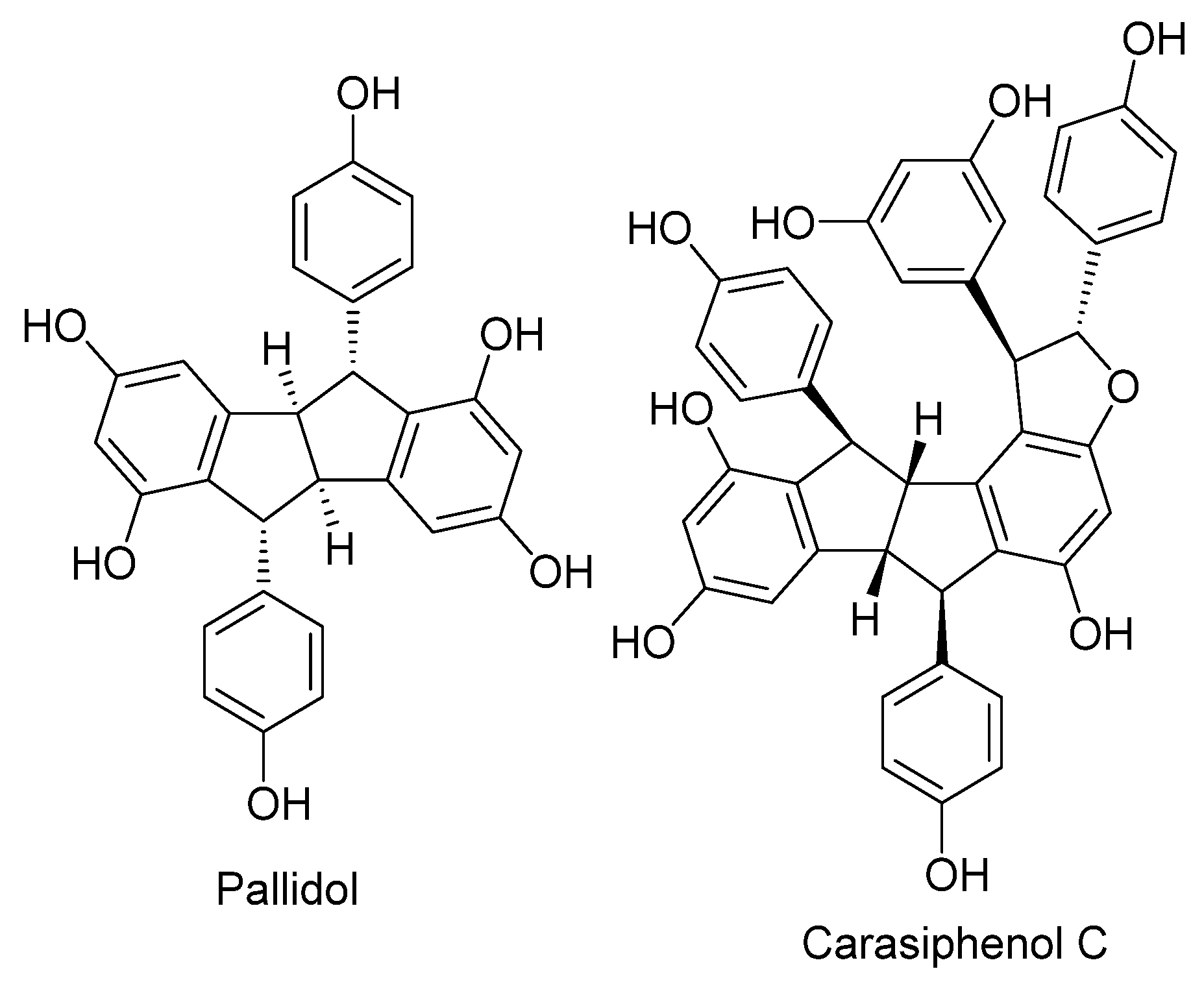 Plants 14 00222 g011 Plants 14 00222 g011