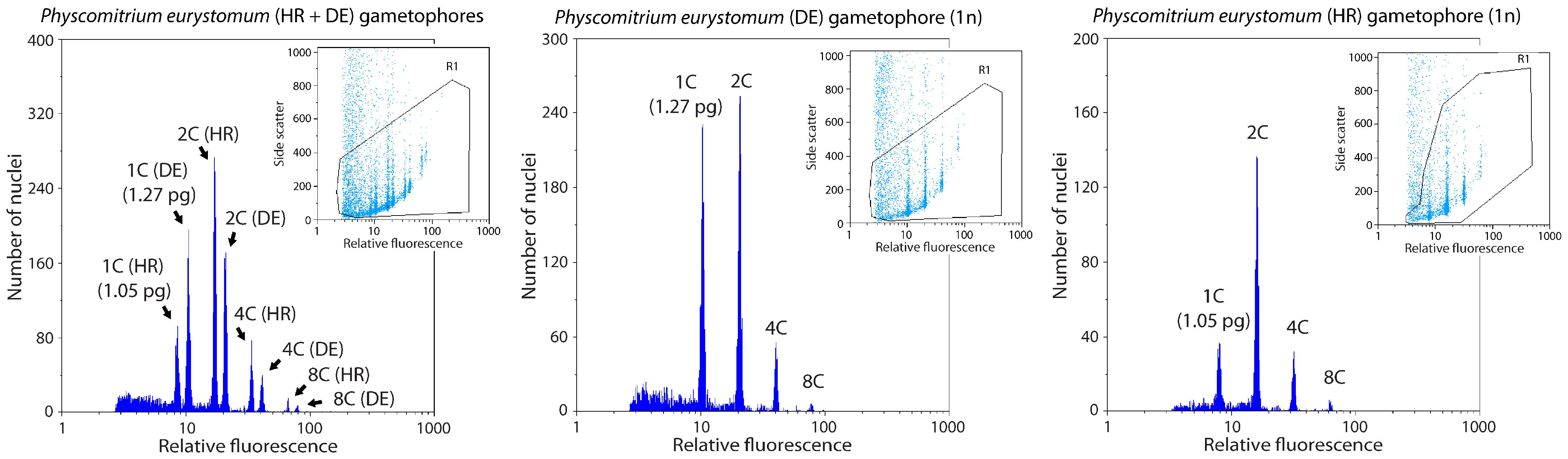 Plants 14 00224 g004