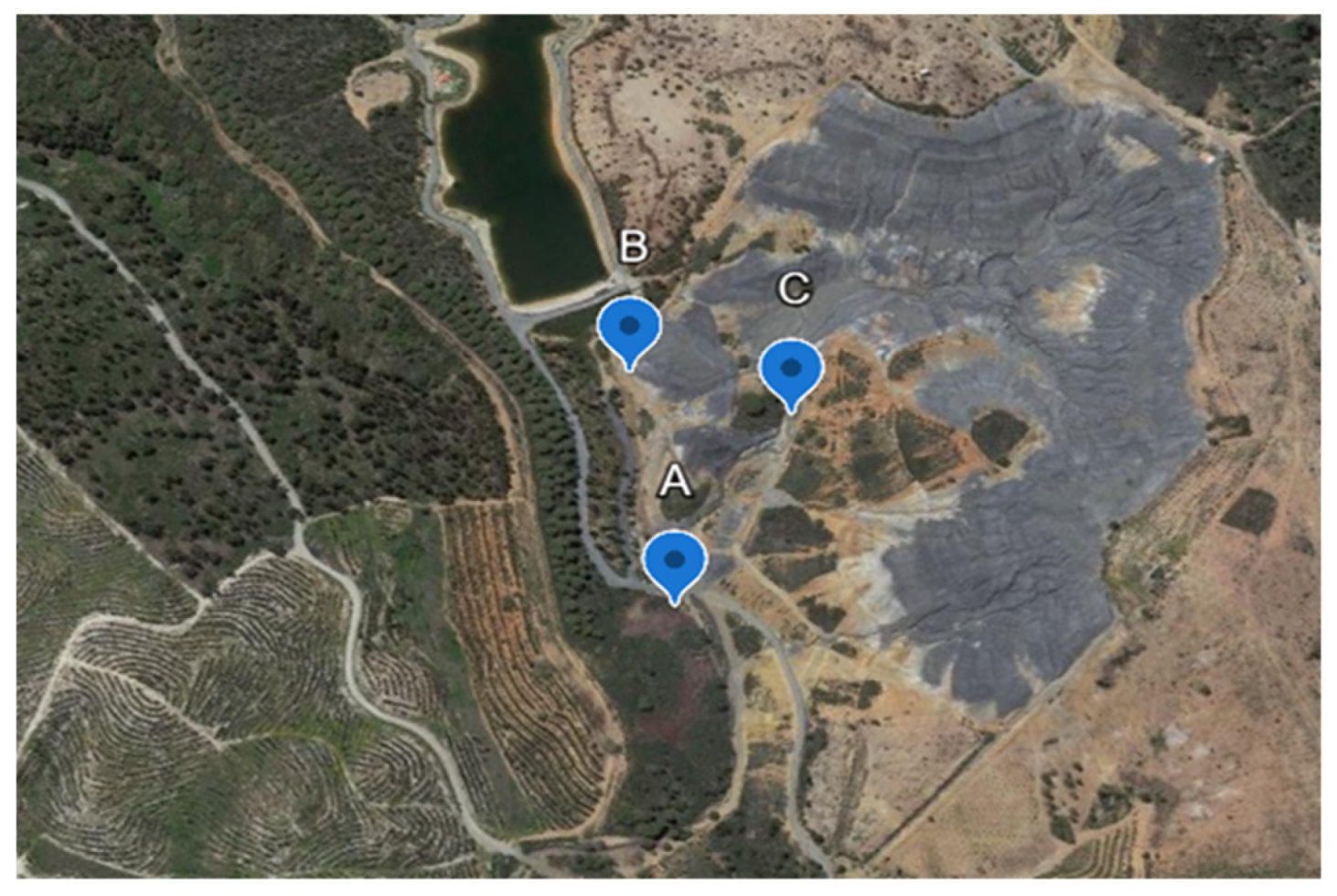 Plants 14 00230 g002