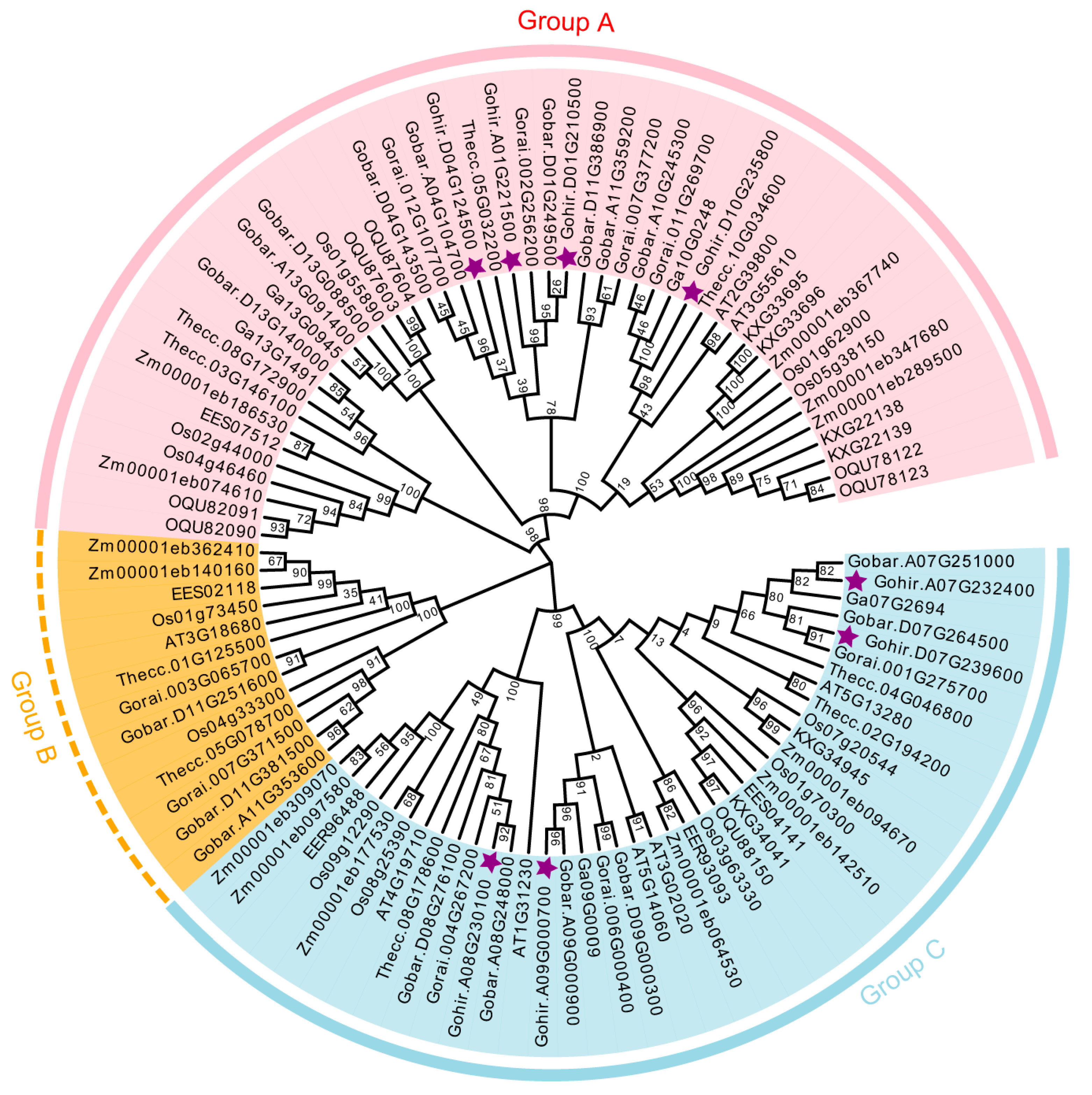 Plants 14 00231 g001