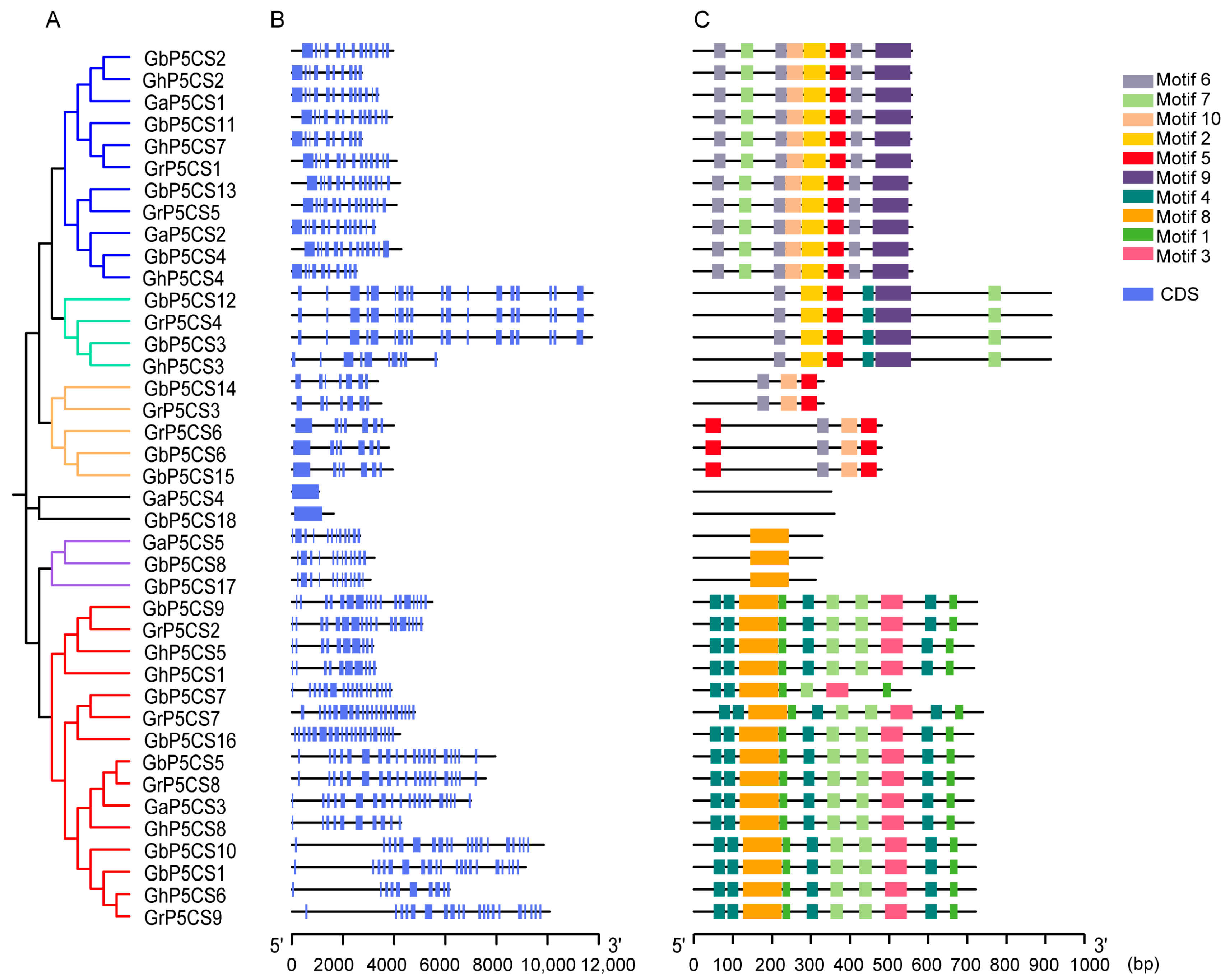 Plants 14 00231 g003