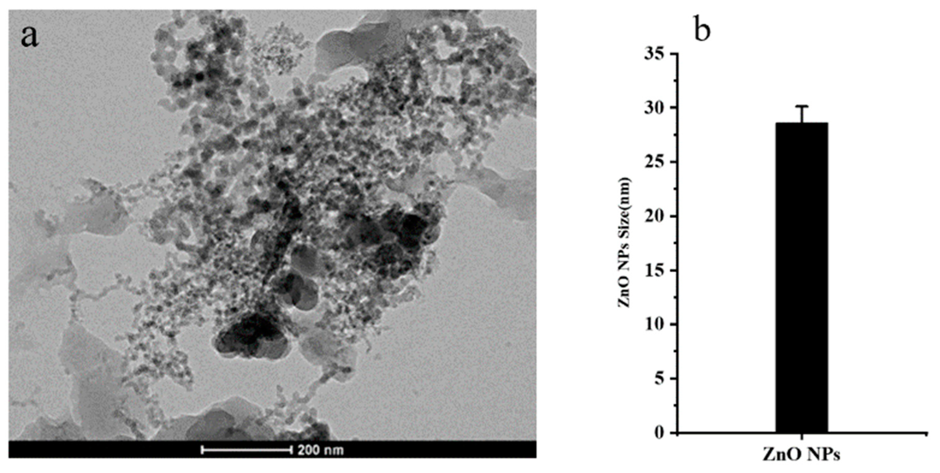 Plants 14 00233 g001